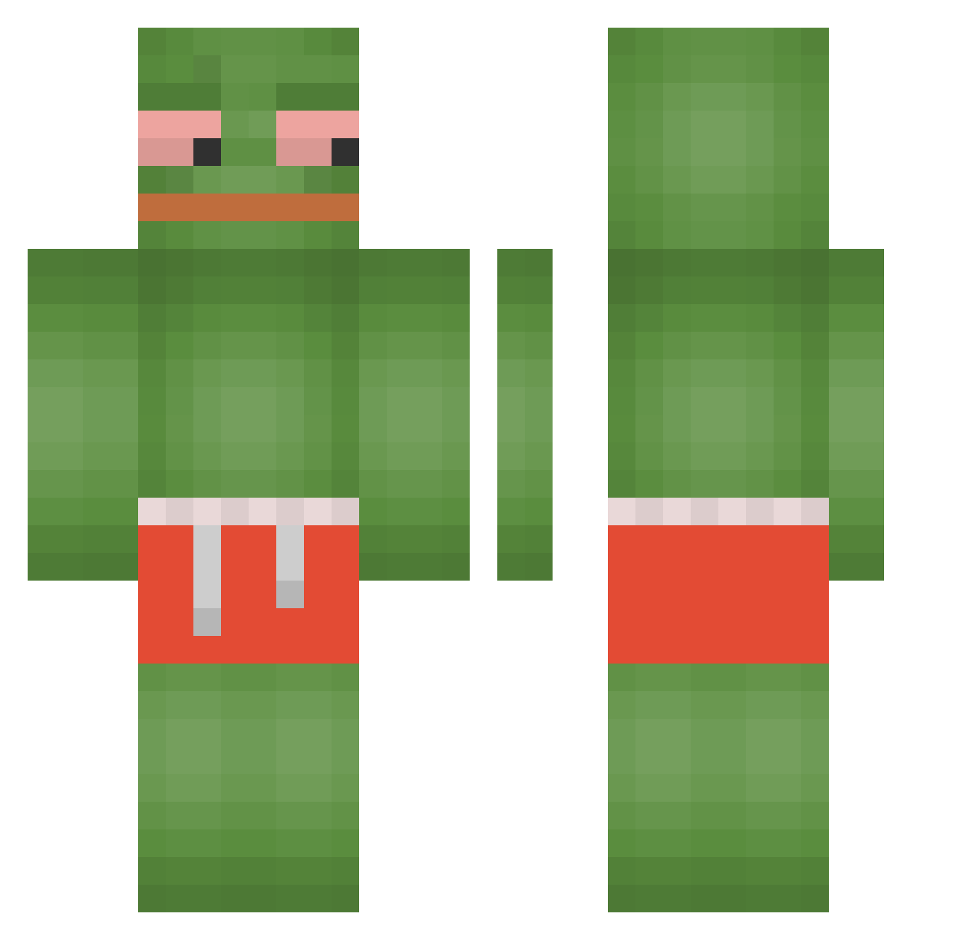 zDrios_ Minecraft skin, front and back view
