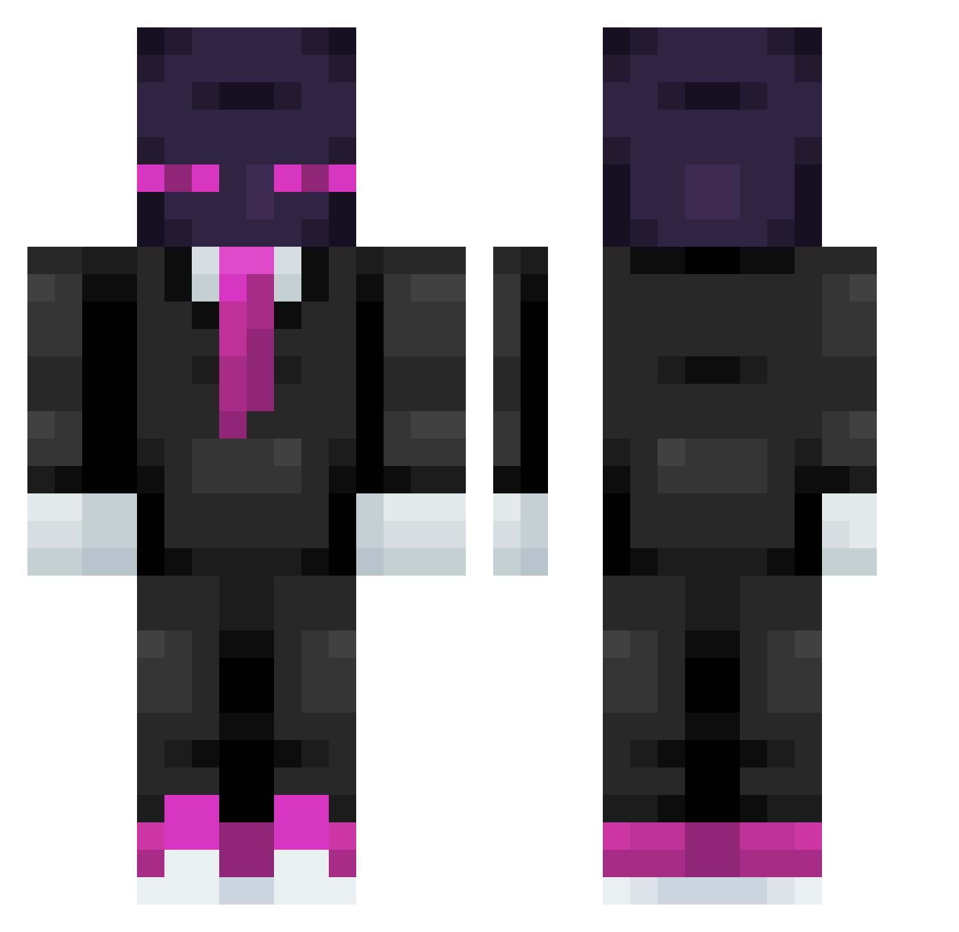 Protopet Minecraft skin, front and back view