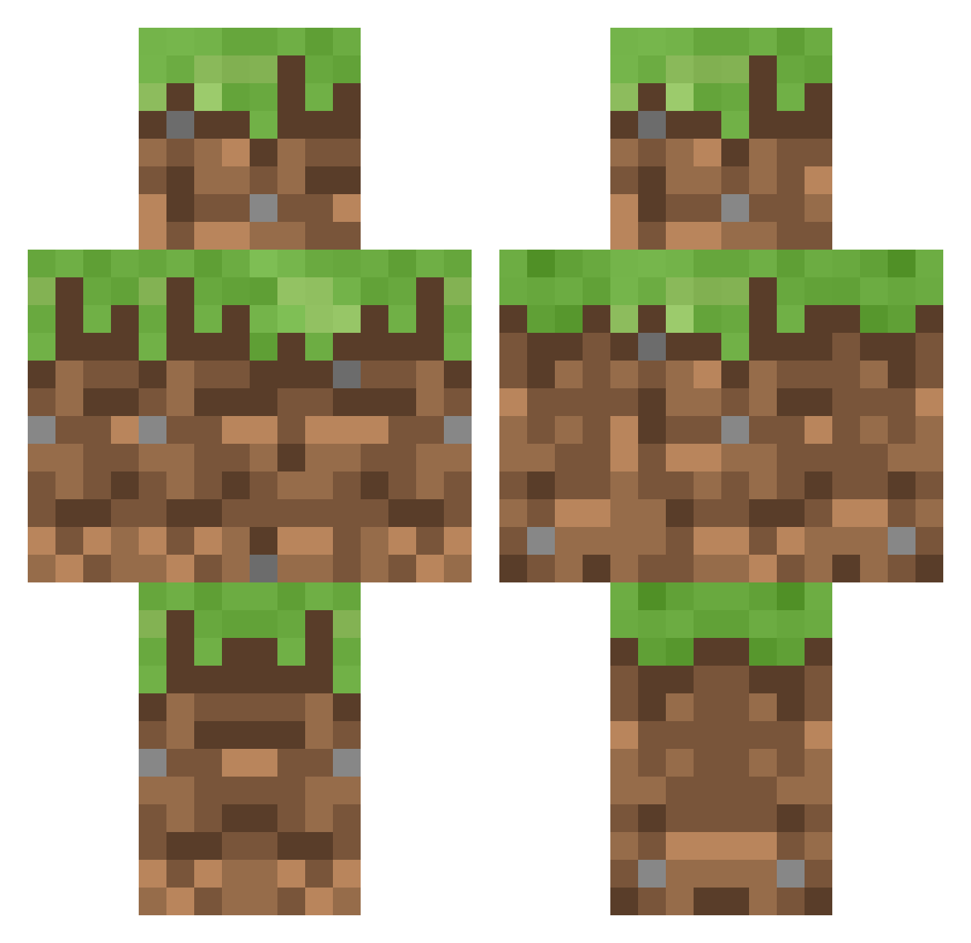 wackiest Minecraft skin, front and back view