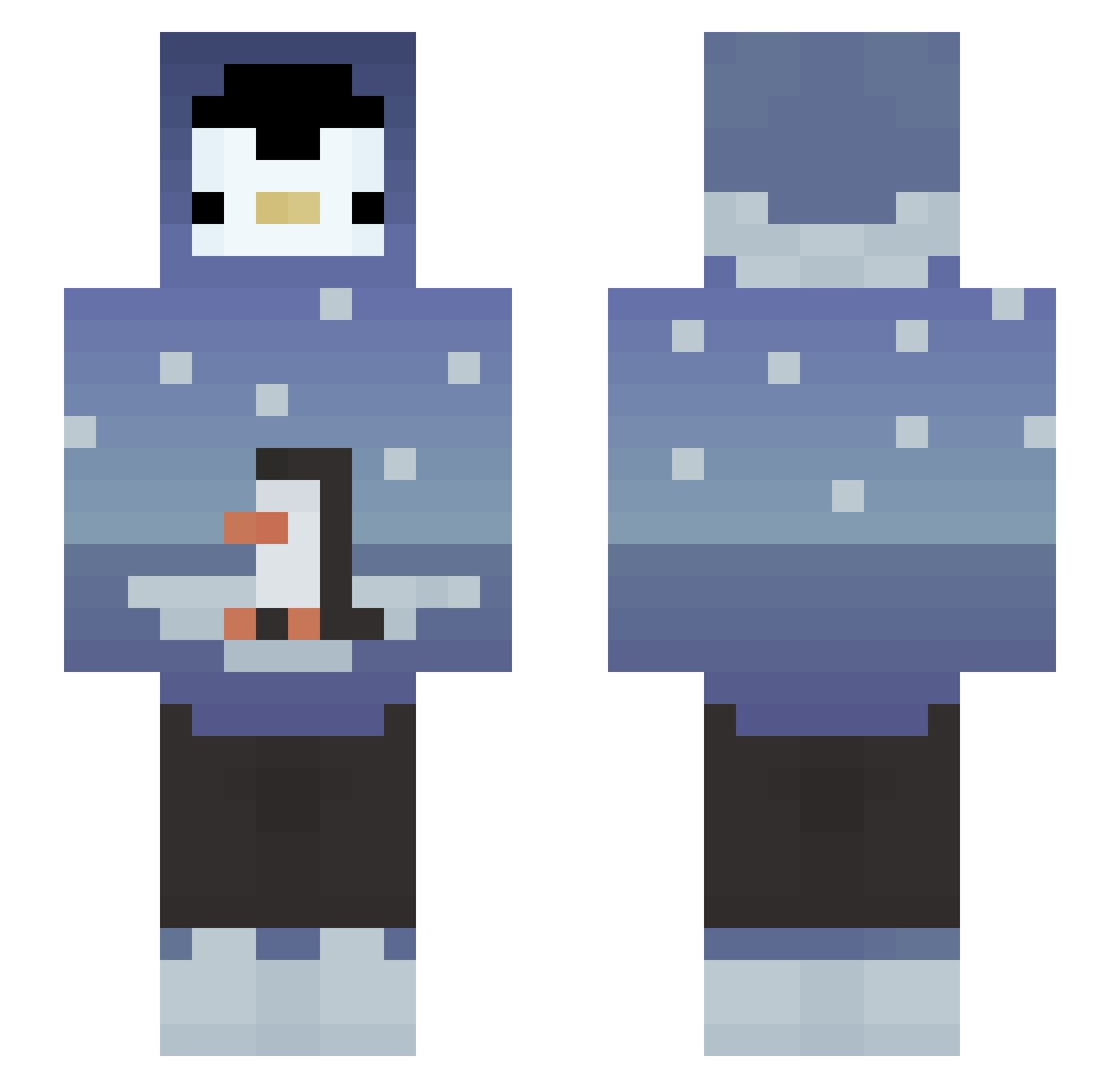 Pinguin_ Minecraft skin, front and back view