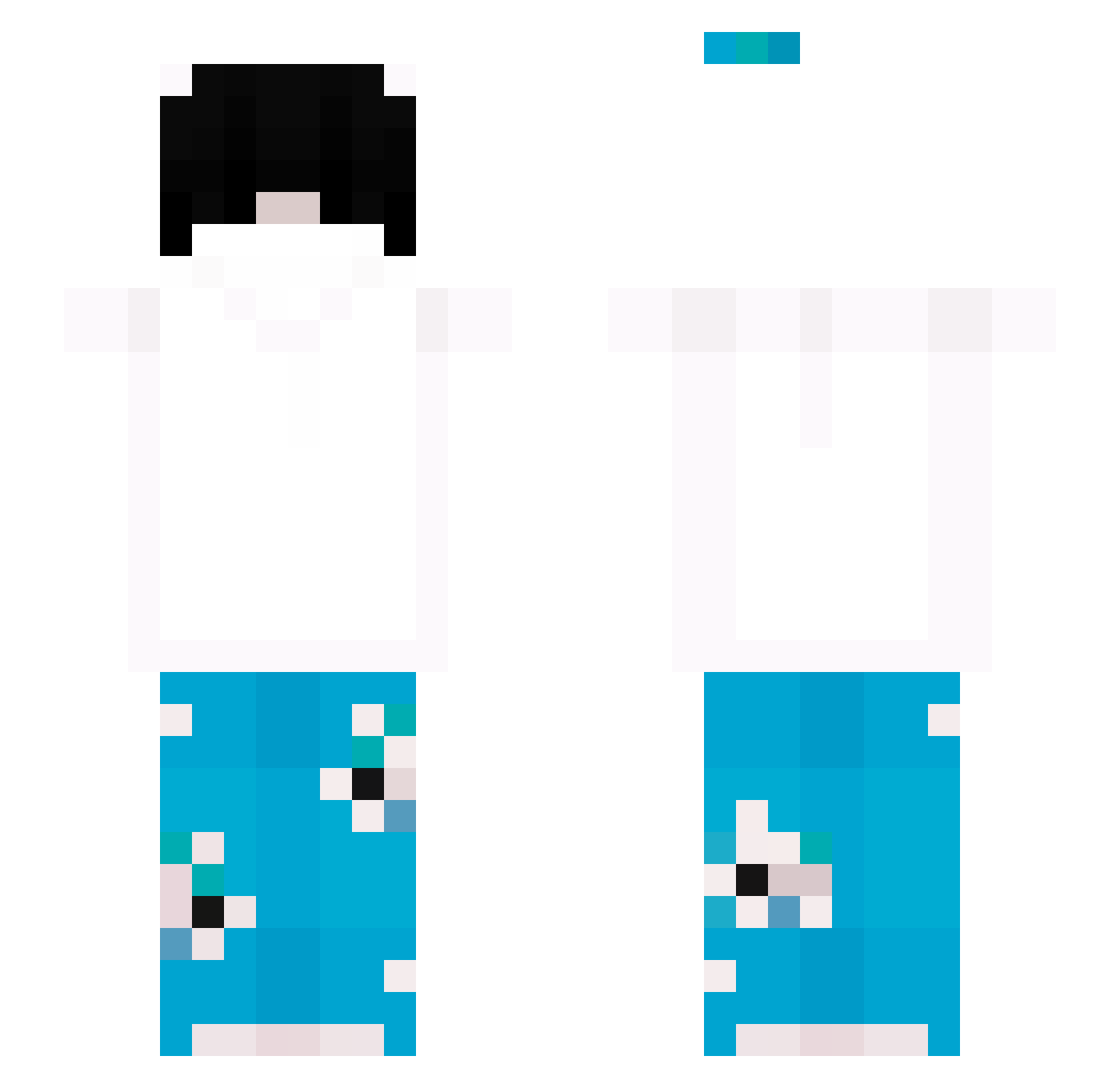 Rarest Minecraft skin, front and back view