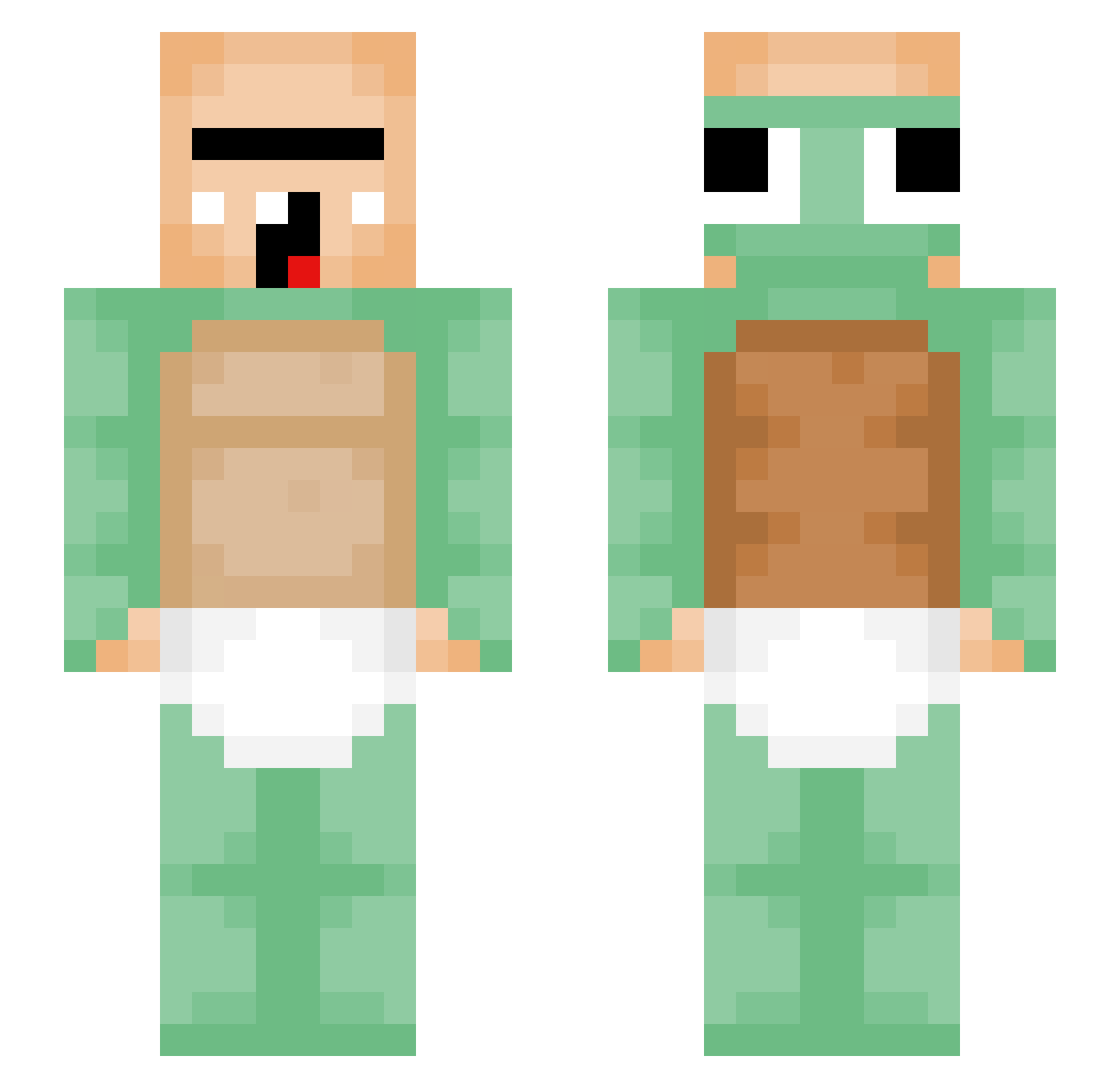 Schildkroede Minecraft skin, front and back view