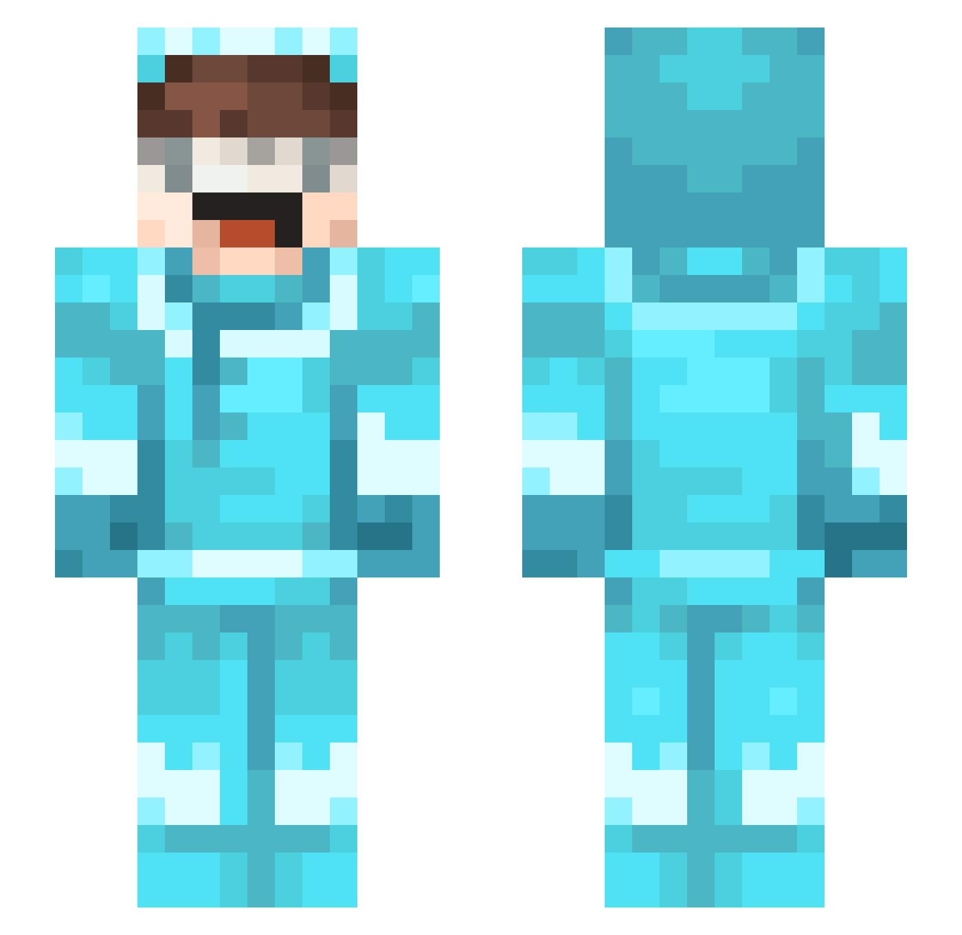 Voronve Minecraft skin, front and back view