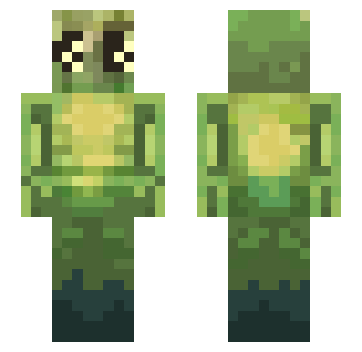 Mnuii_ Minecraft skin, front and back view