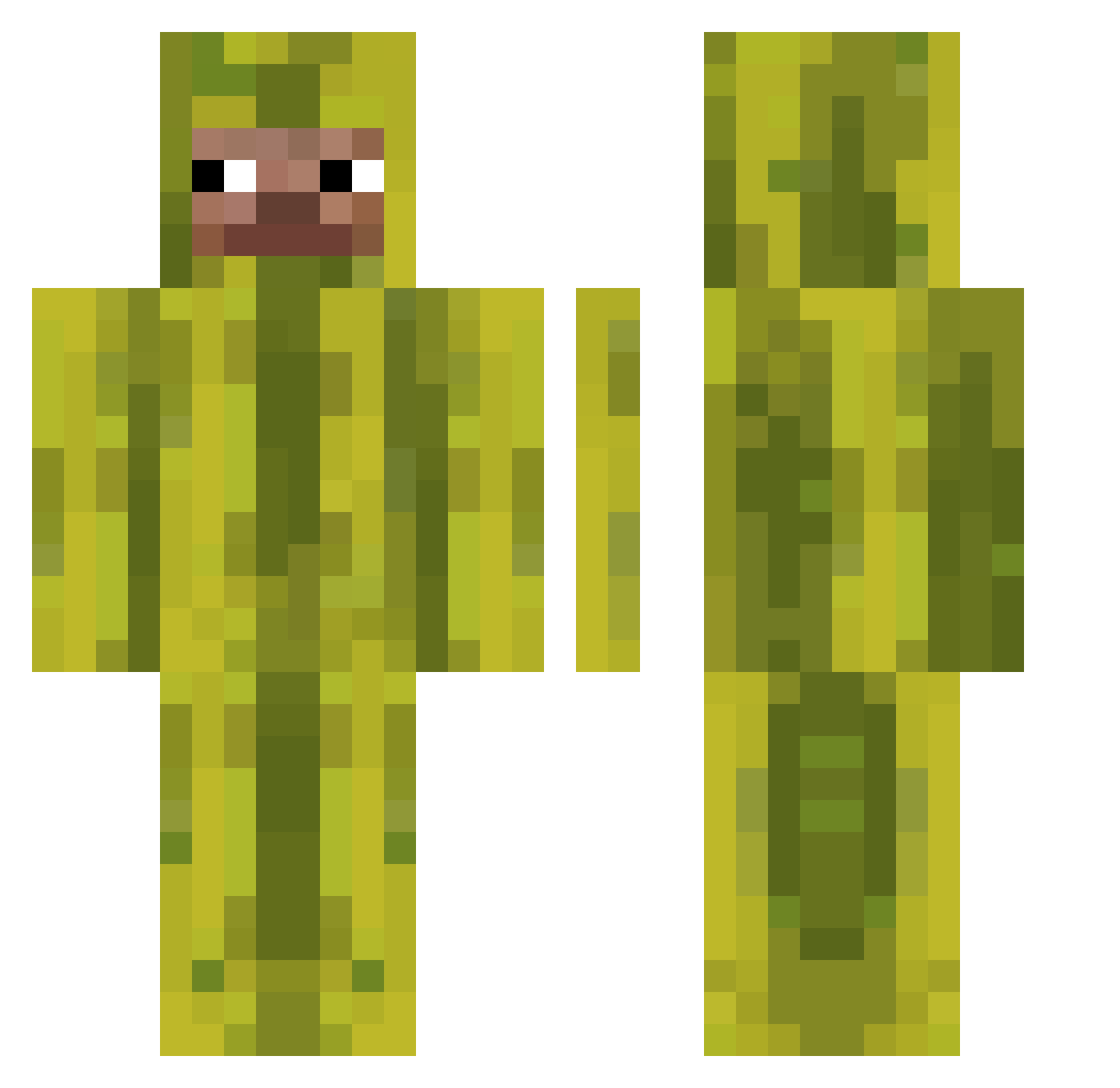 AMAWATERMELON Minecraft skin, front and back view