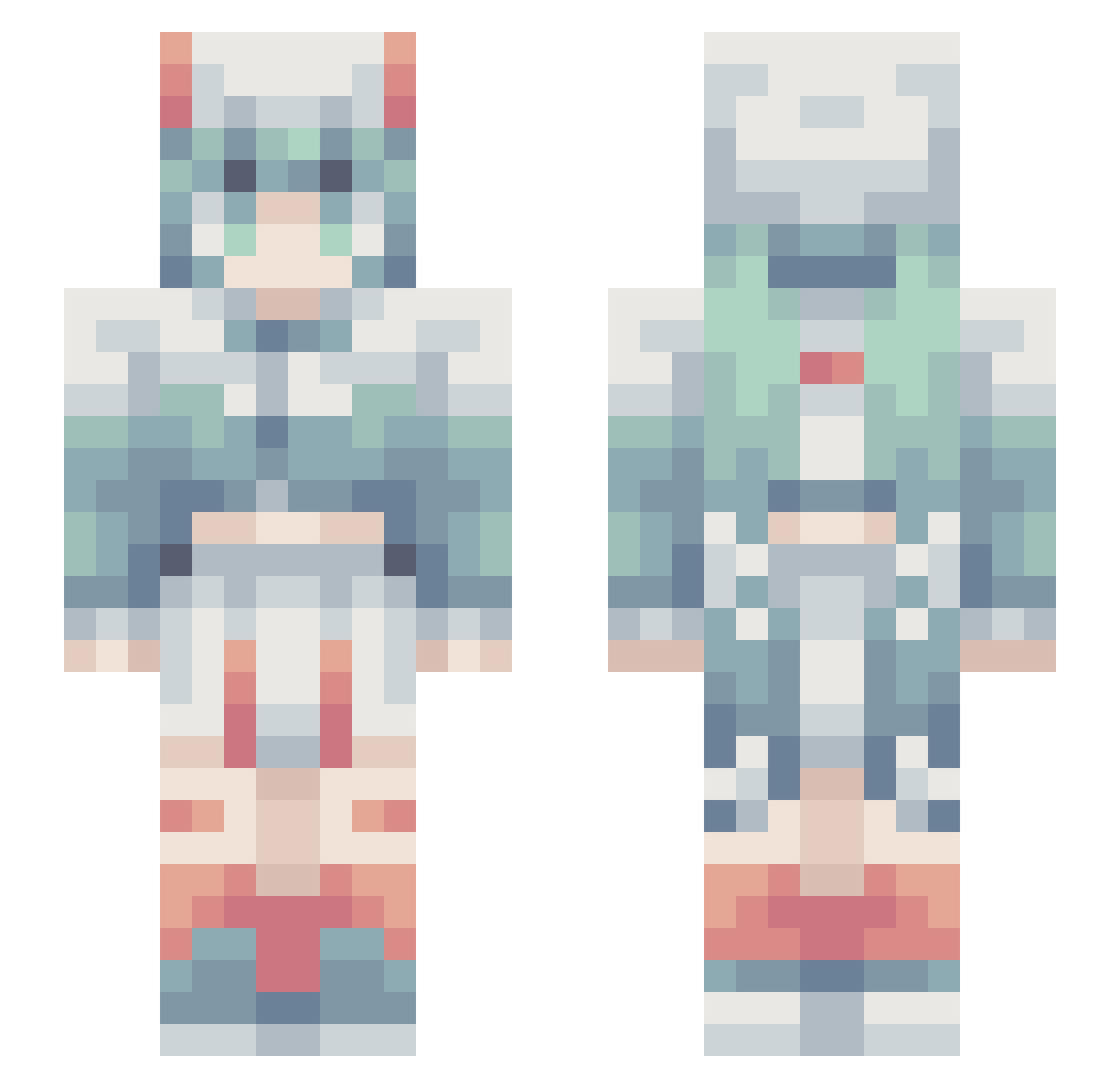 Zer01076 Minecraft skin, front and back view