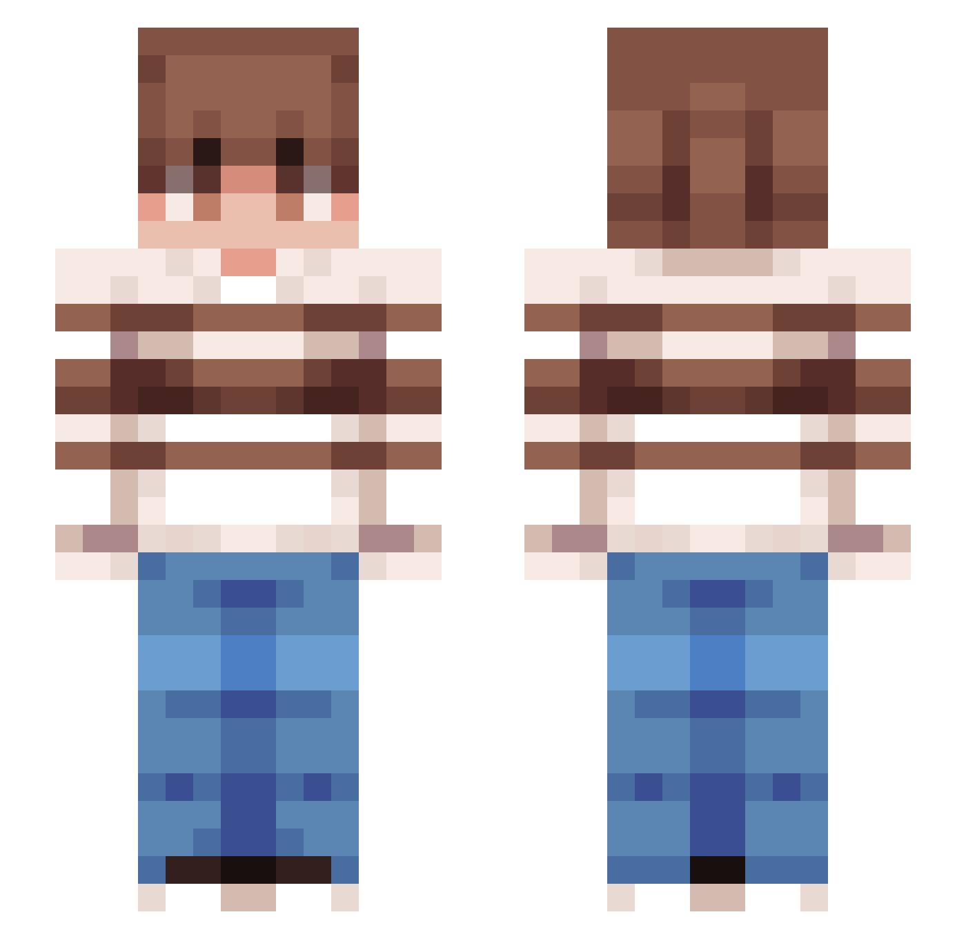 Van1shfx Minecraft skin, front and back view