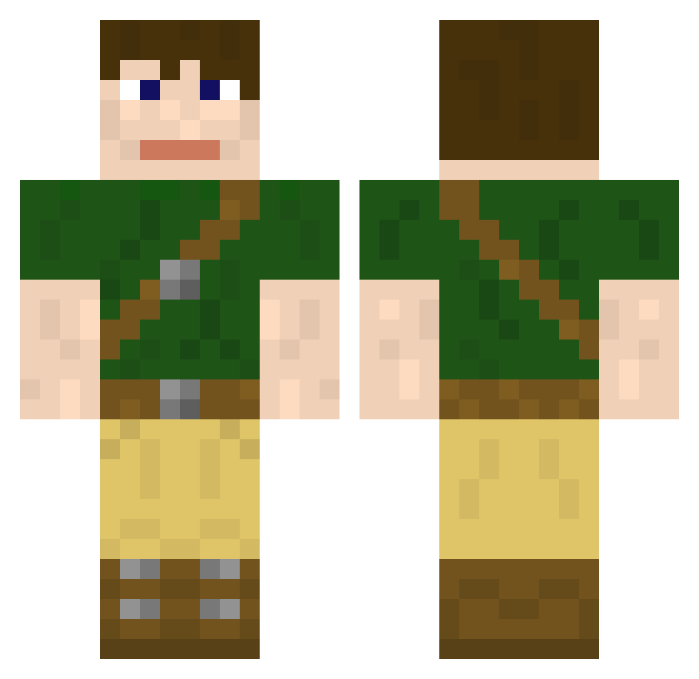 desmid Minecraft skin, front and back view