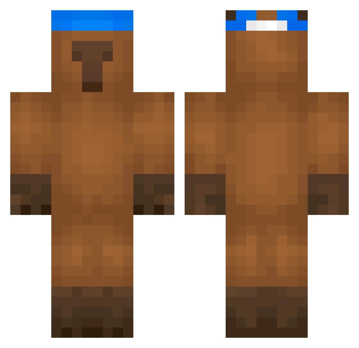 Capcapybara Minecraft skin, front and back view