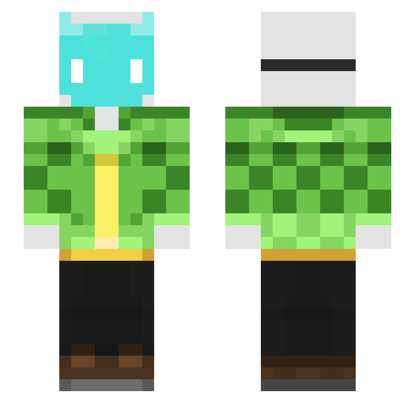 QM0_ Minecraft skin, front and back view