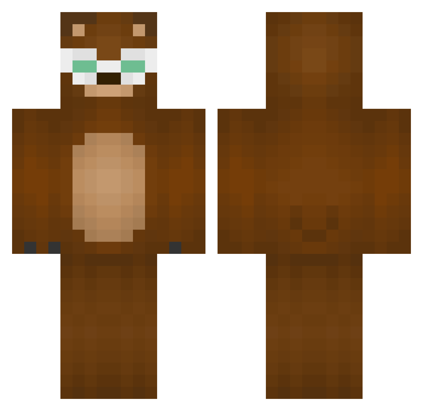 rawhen Minecraft skin, front and back view