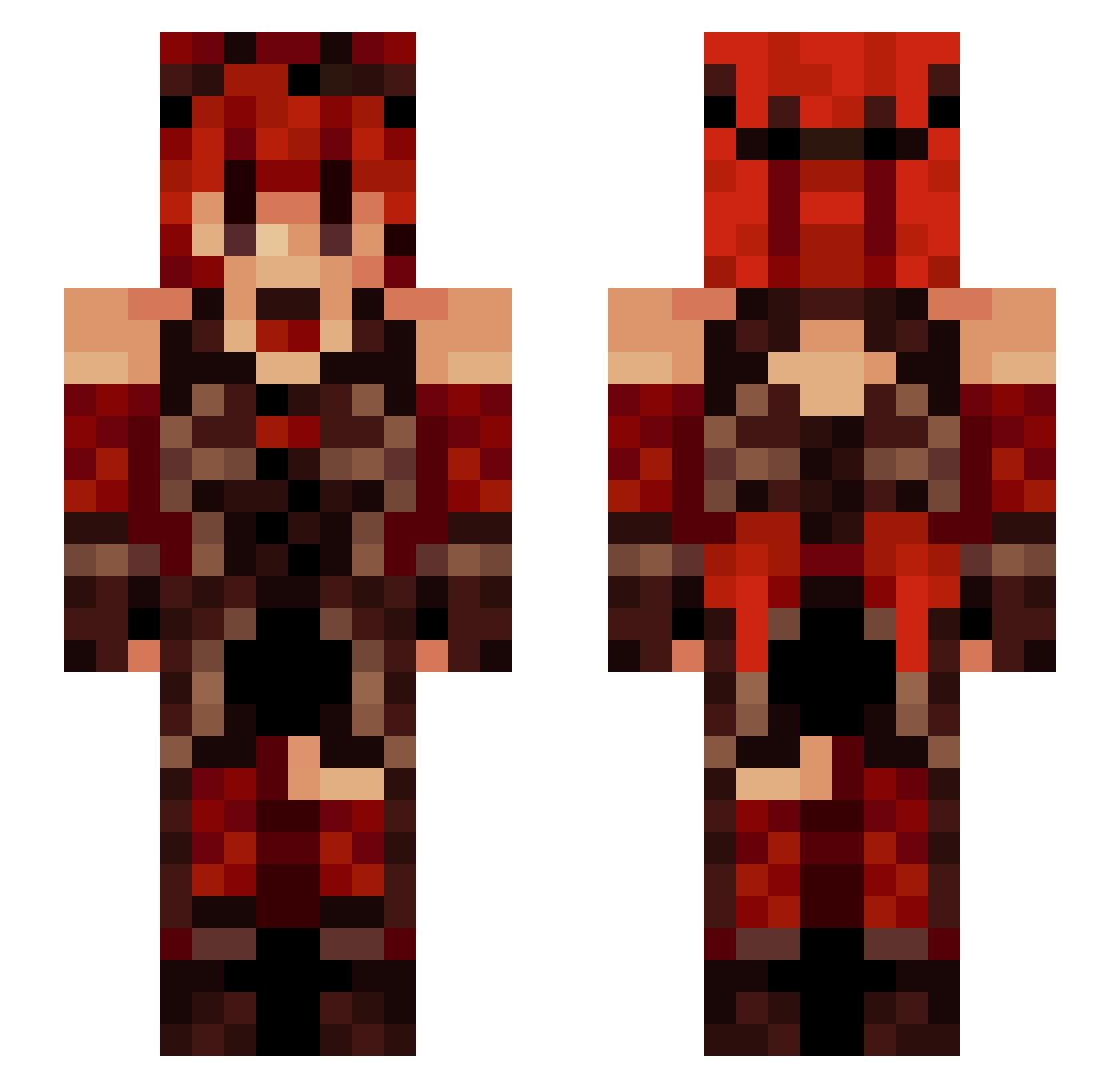 Vexillol0gy Minecraft skin, front and back view