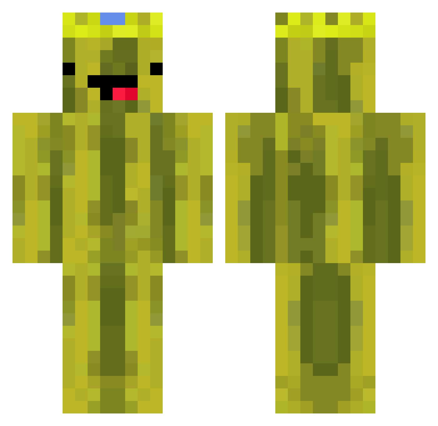 Locho_Master Minecraft skin, front and back view