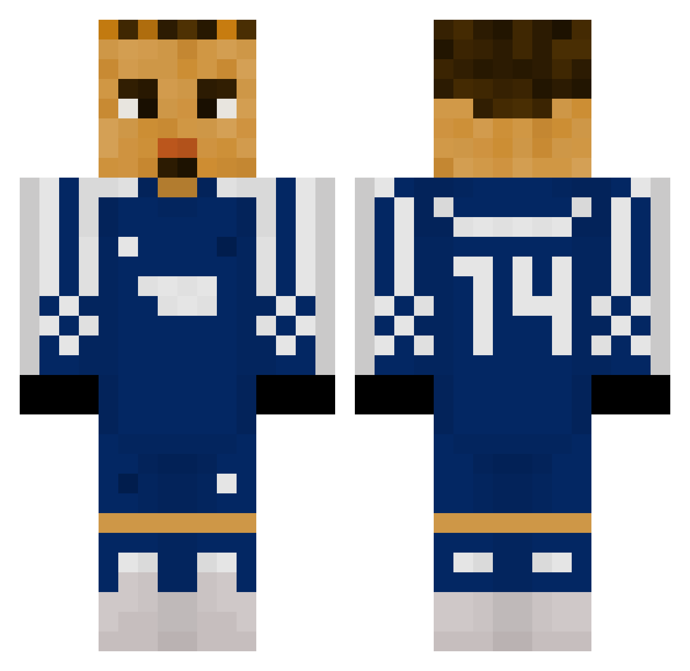 wze_33 Minecraft skin, front and back view