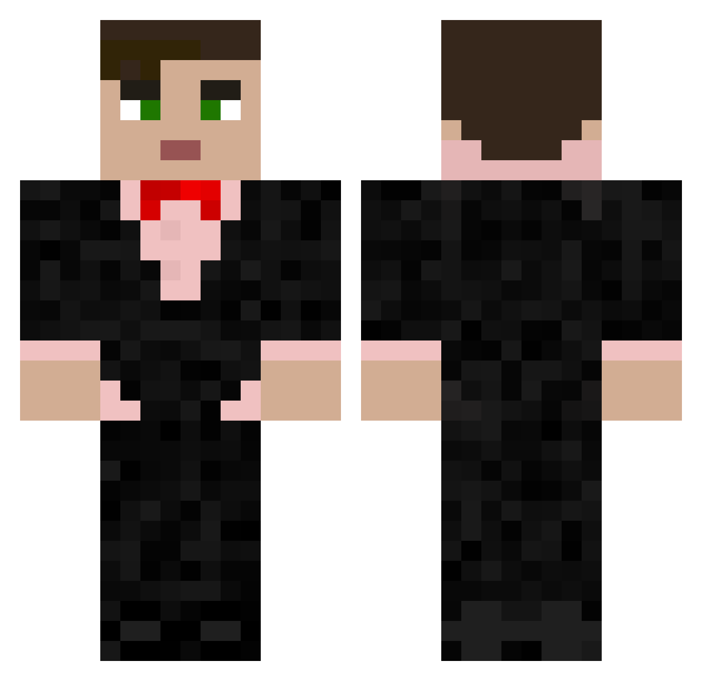 theShulkerMusic Minecraft skin, front and back view