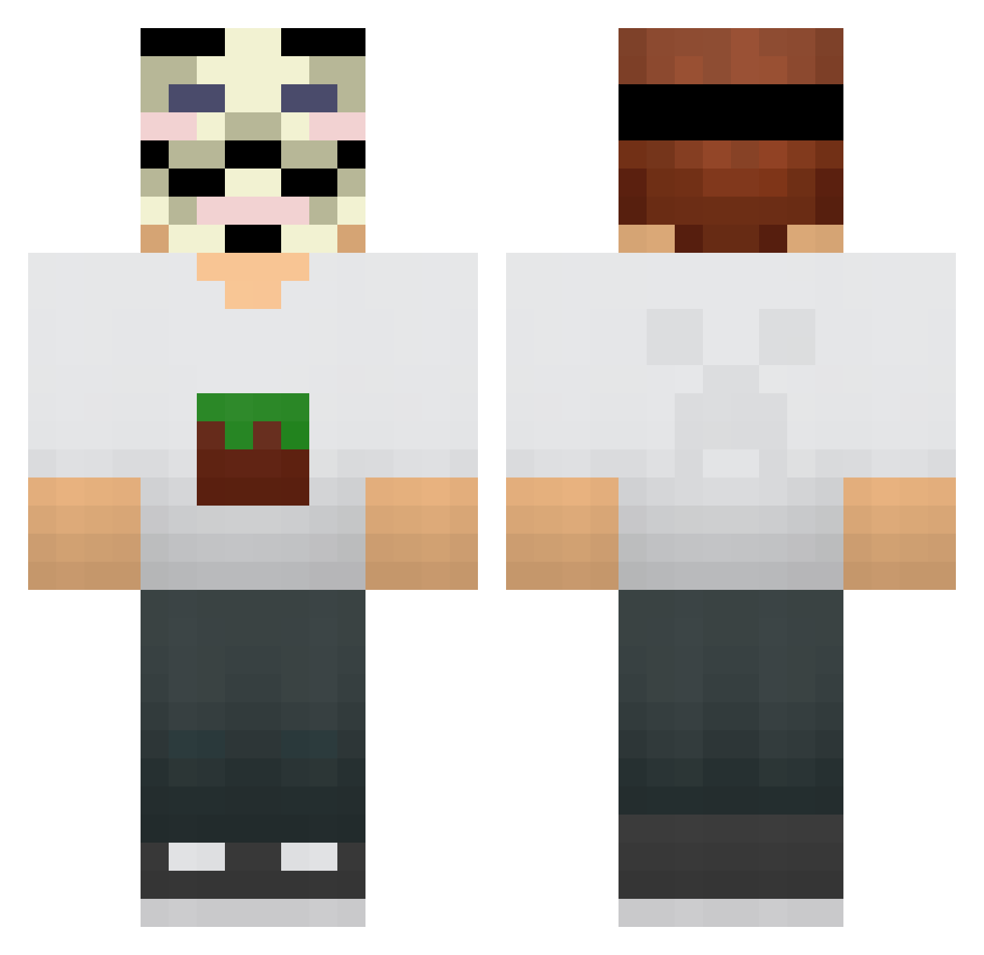 Ztyu_ Minecraft skin, front and back view