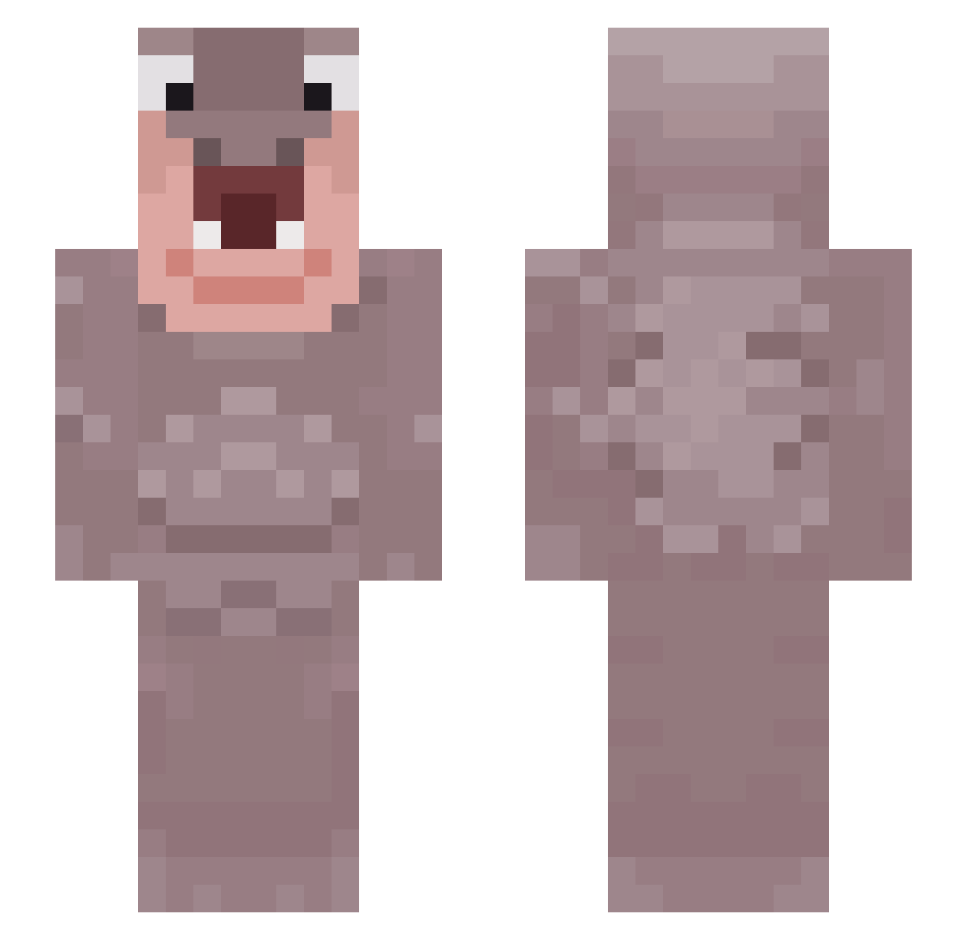 Budibudiwuwuwuwu Minecraft skin, front and back view