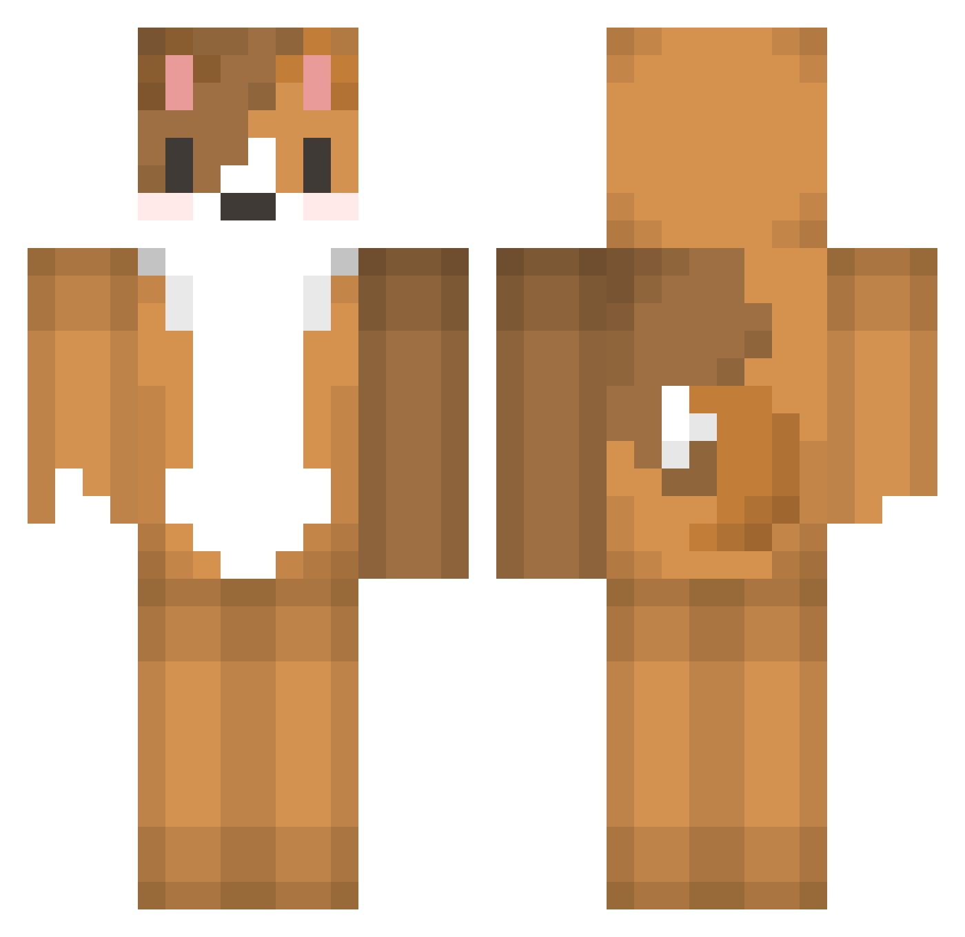 Dajbych Minecraft skin, front and back view
