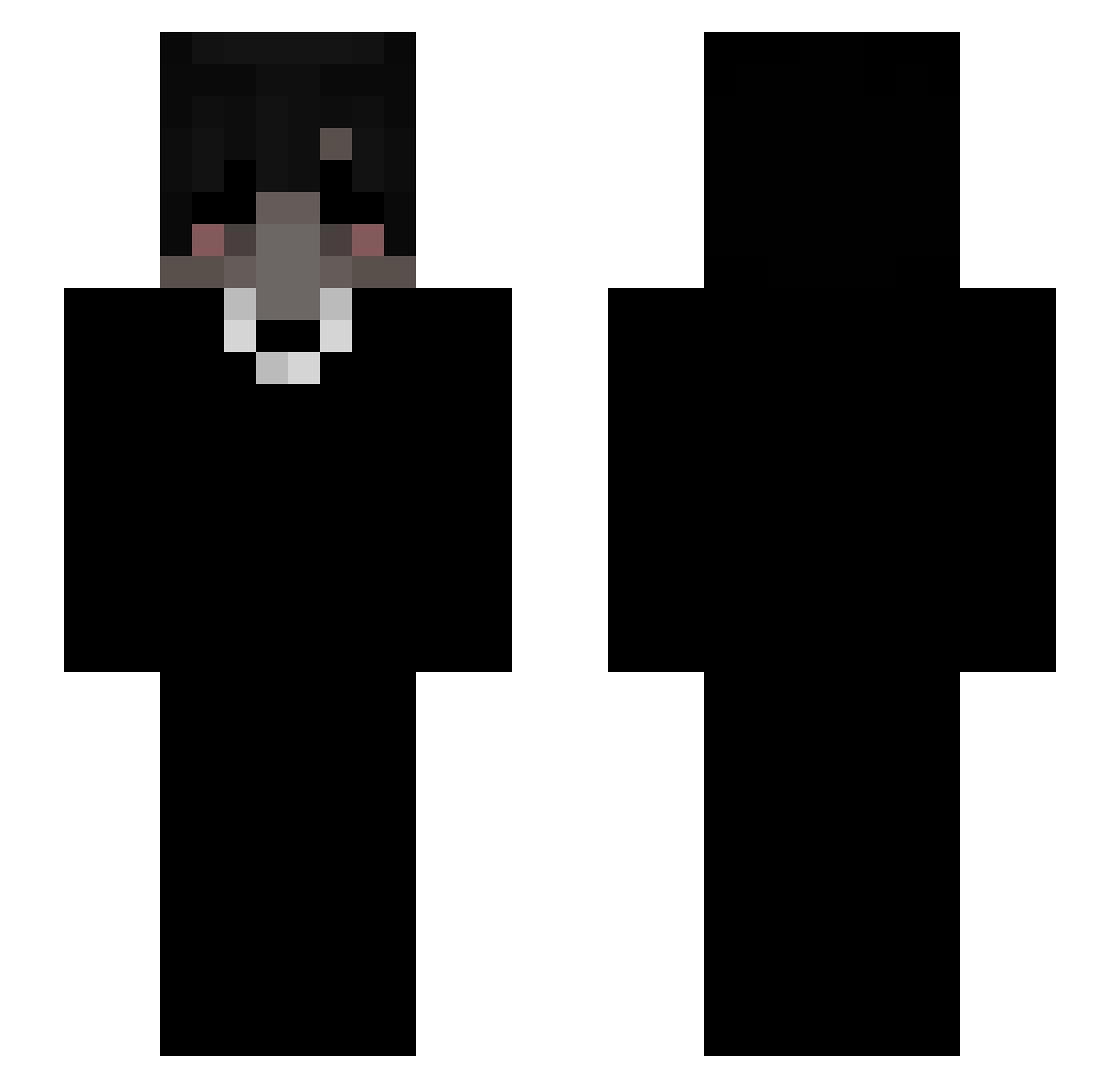 presences Minecraft skin, front and back view