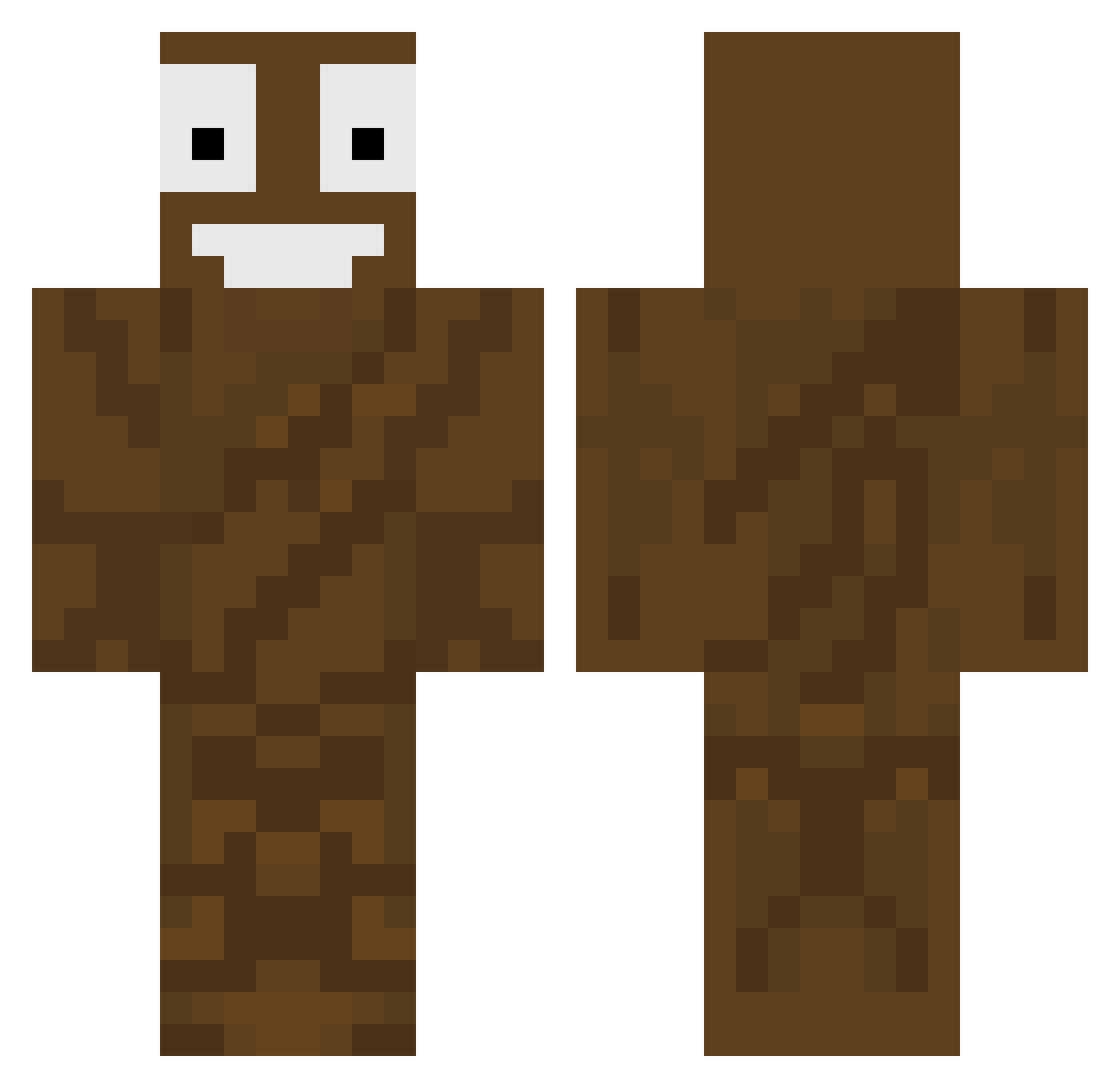 raetheminer1 Minecraft skin, front and back view