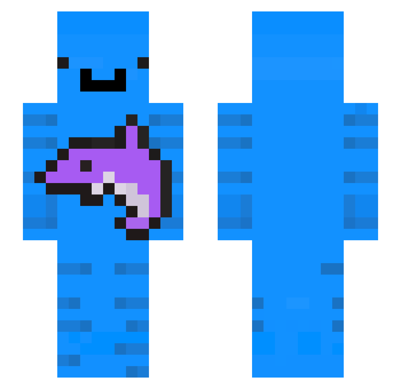 Dolphinoir Minecraft skin, front and back view