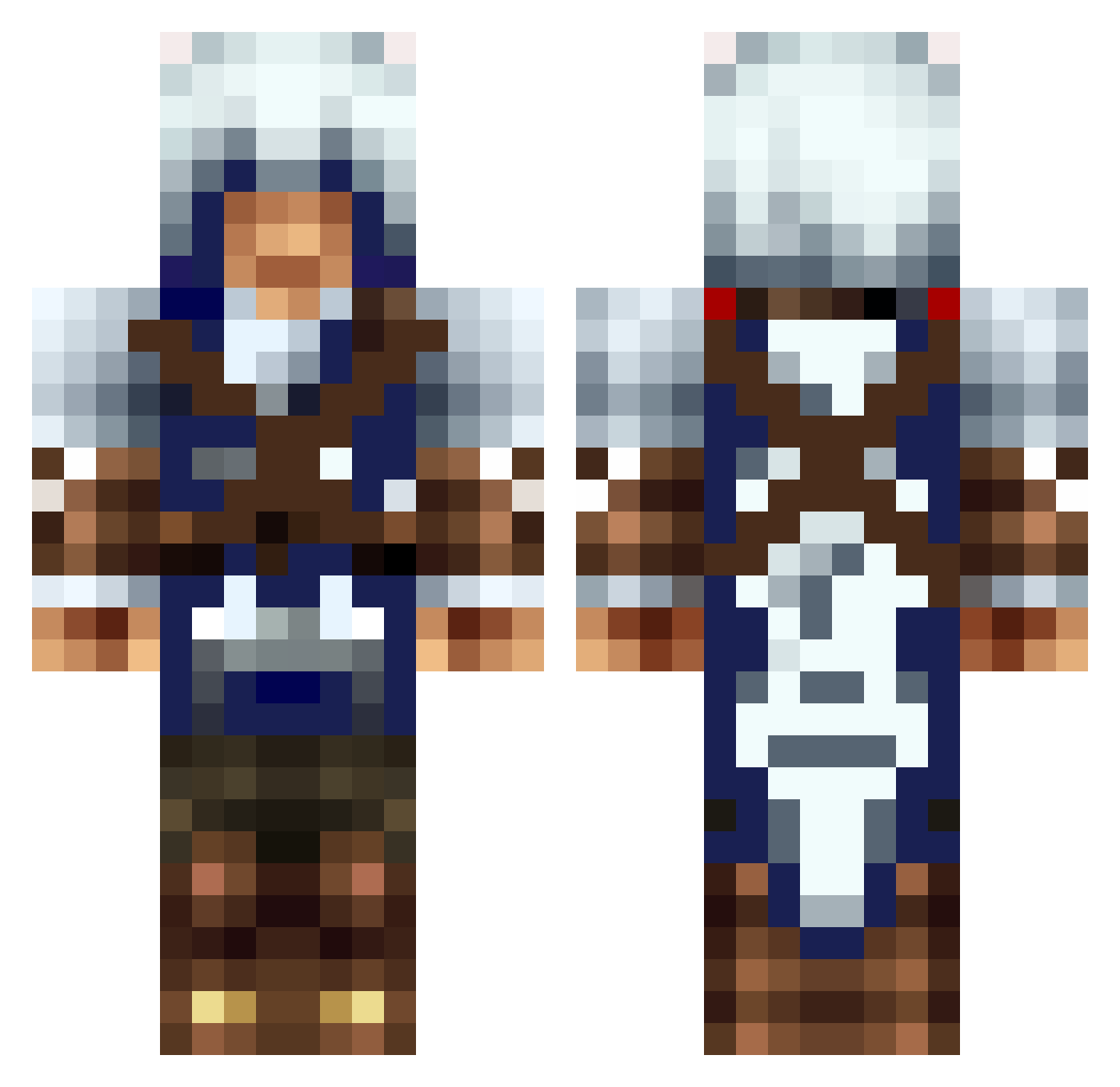 Reg Minecraft skin, front and back view