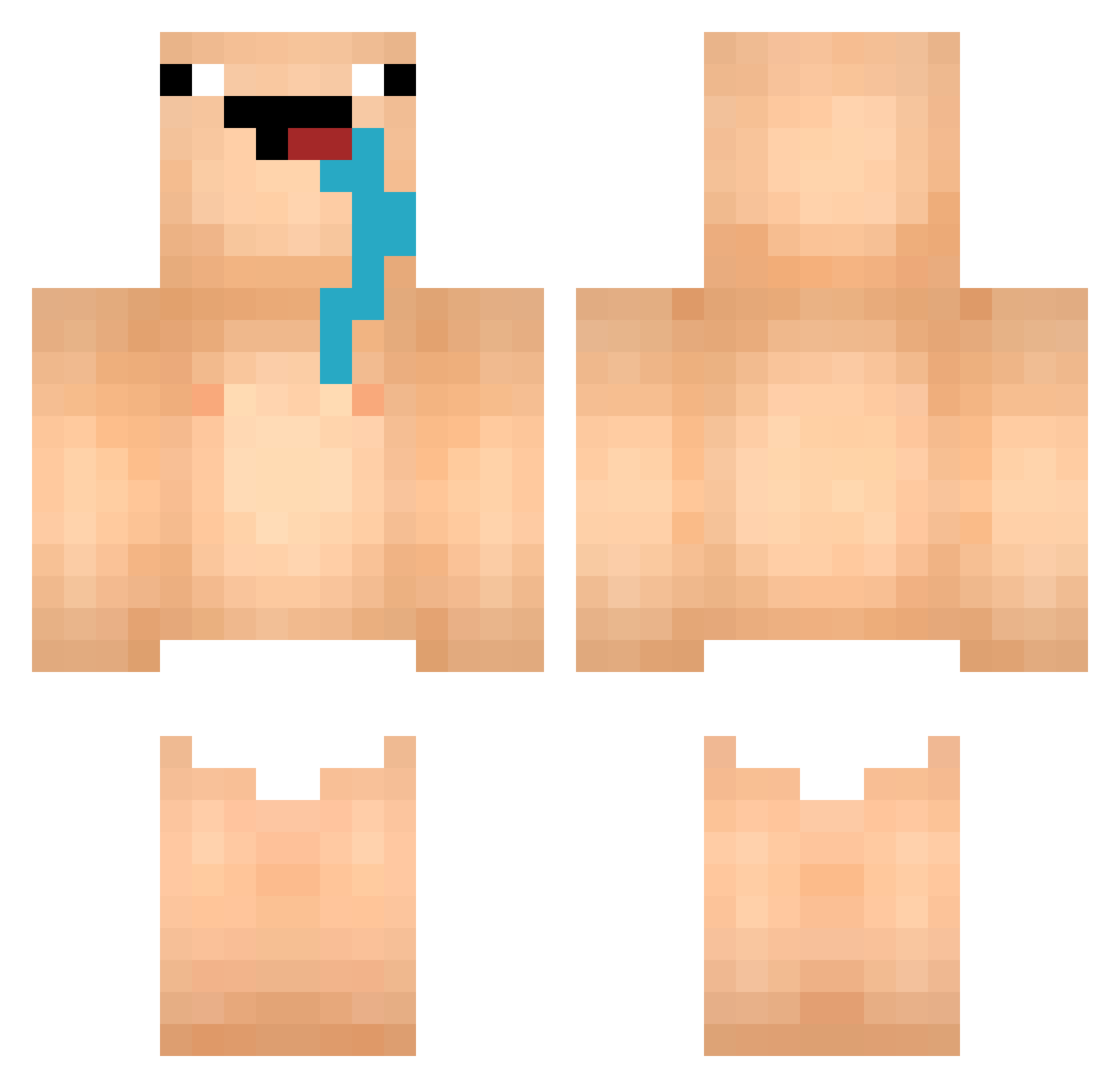 SmashSeals Minecraft skin, front and back view