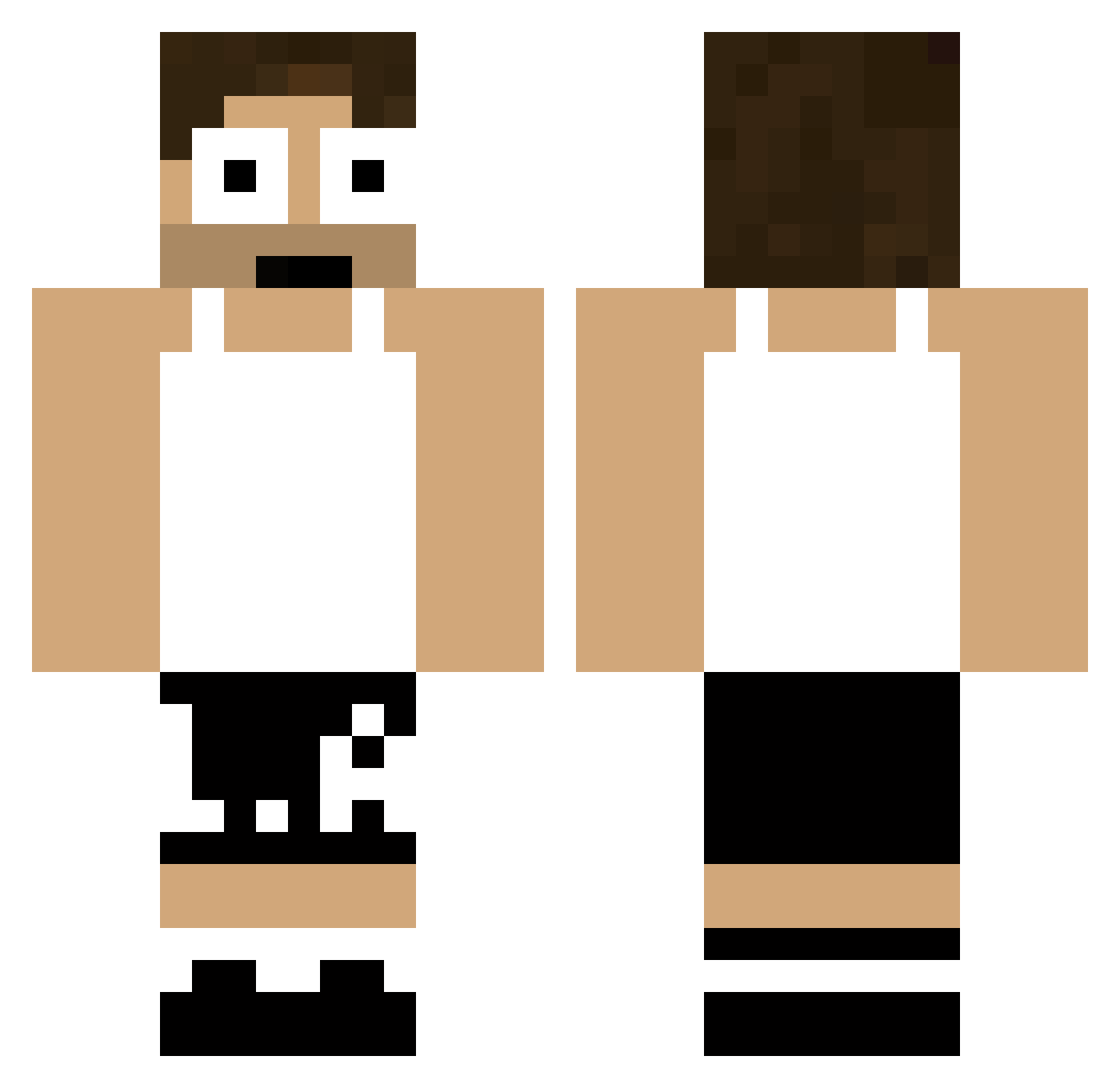 Vizzi_ Minecraft skin, front and back view