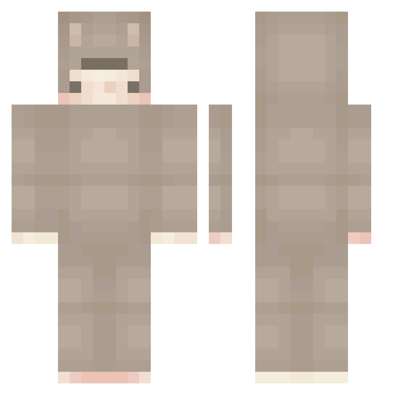 ZZwon Minecraft skin, front and back view
