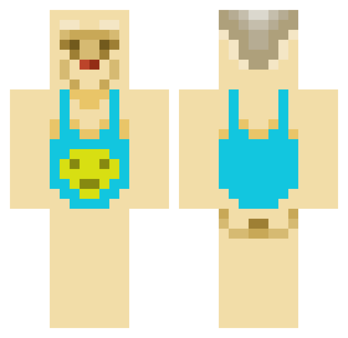 Putrefactive Minecraft skin, front and back view