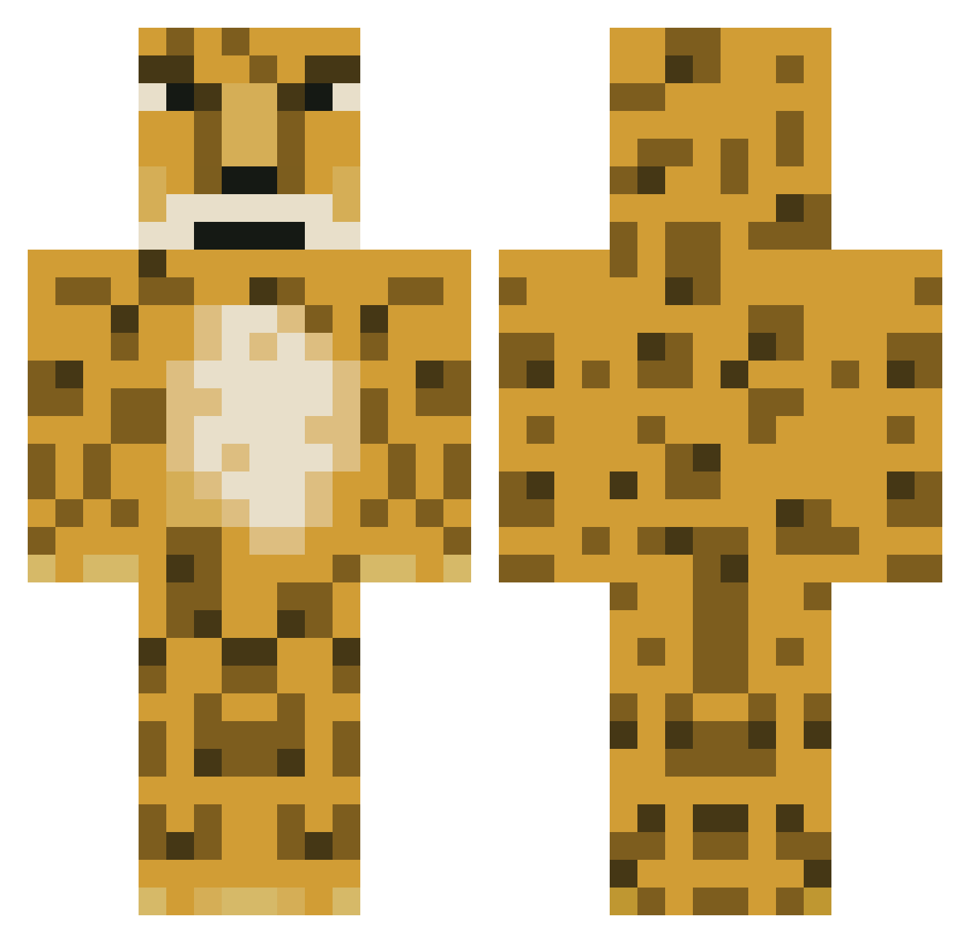 Jagu9r Minecraft skin, front and back view