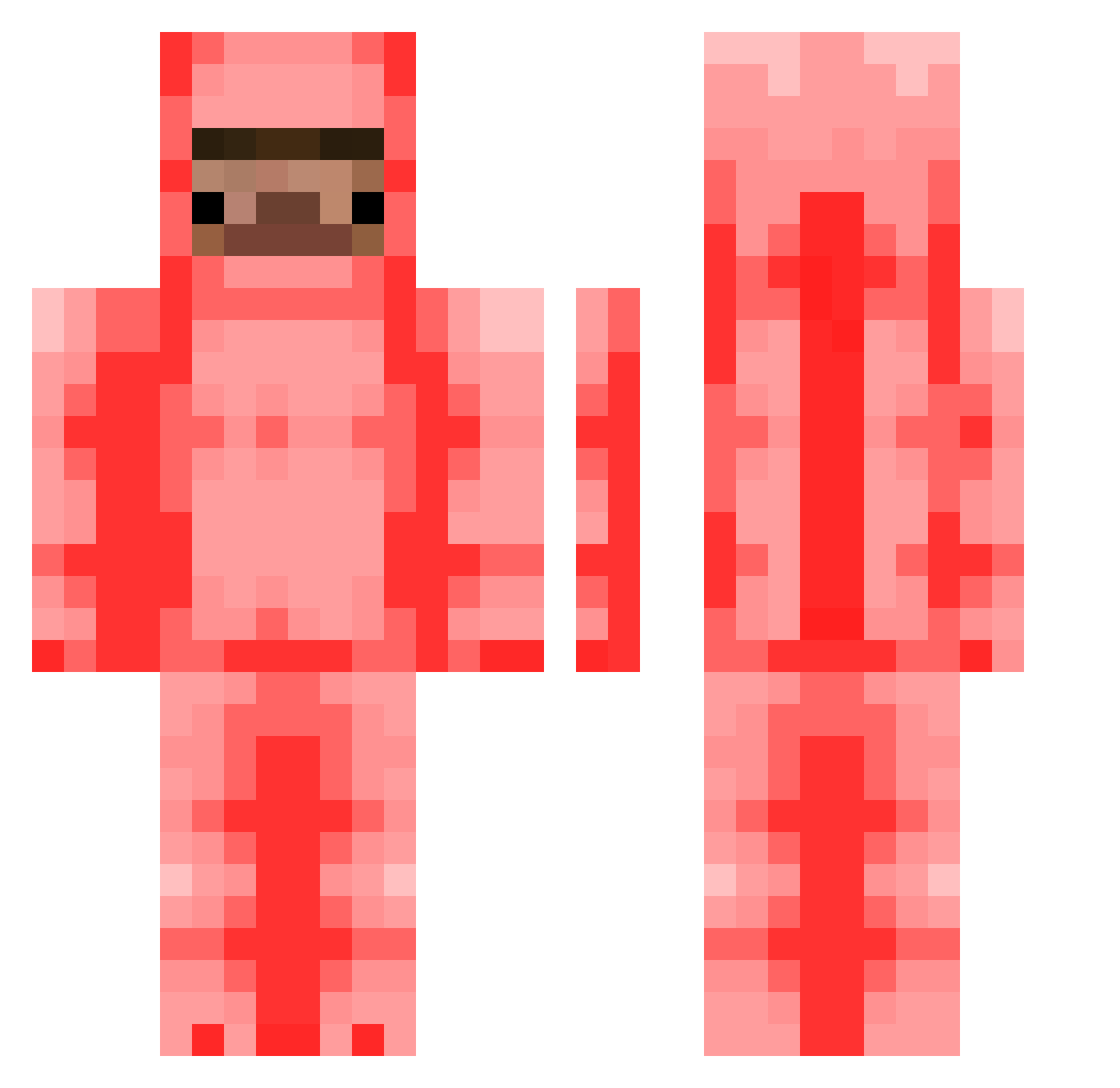 Tin0123 Minecraft skin, front and back view