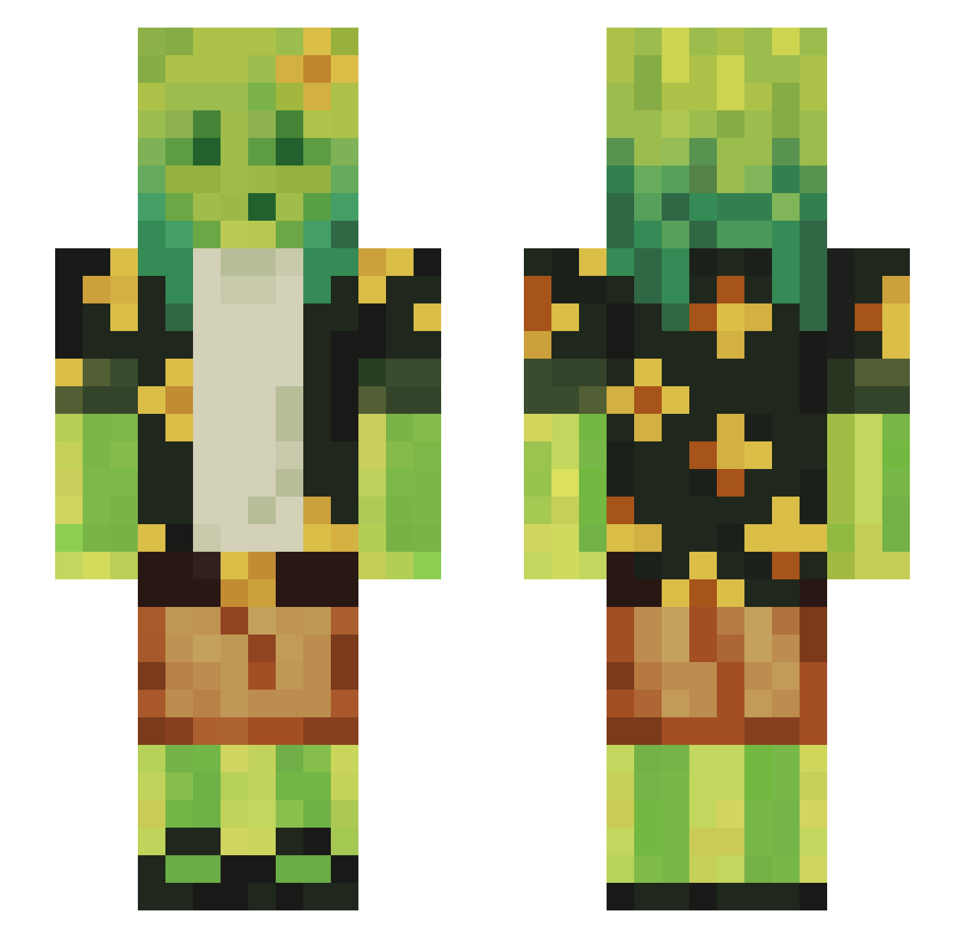 Caetheris Minecraft skin, front and back view