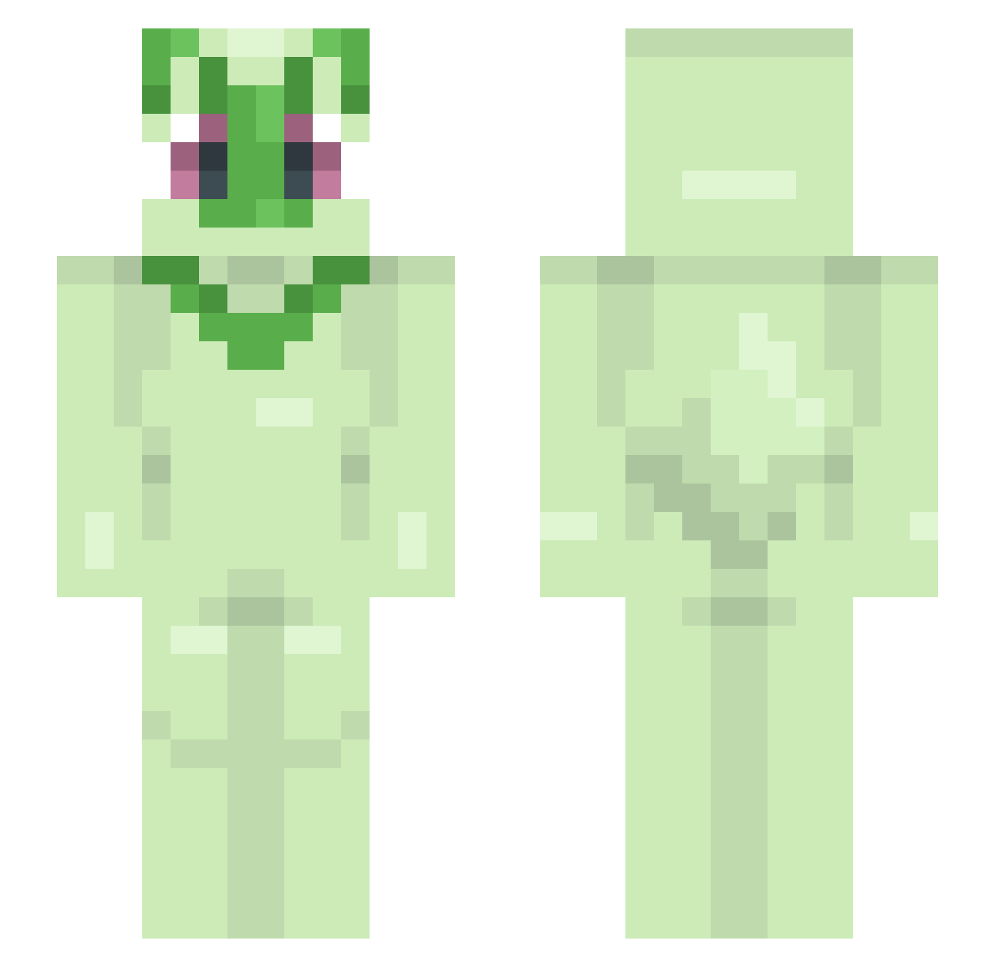 PEPEWM Minecraft skin, front and back view