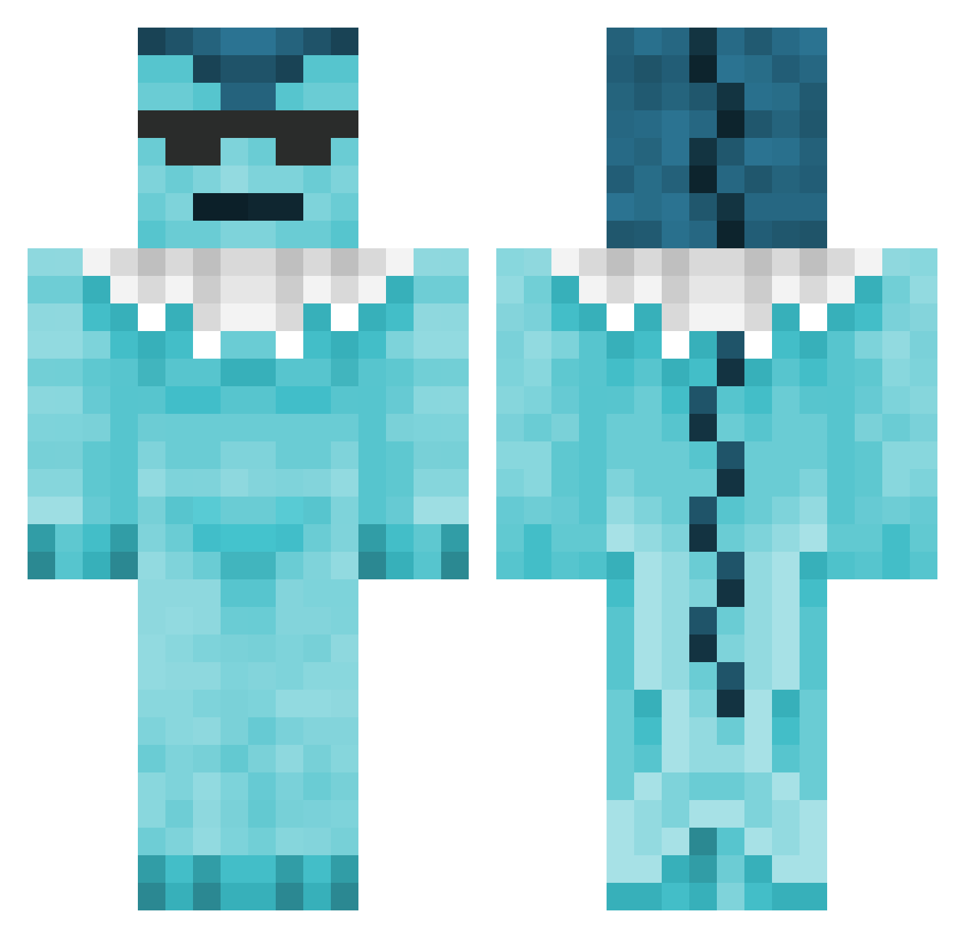 PlasticHair Minecraft skin, front and back view