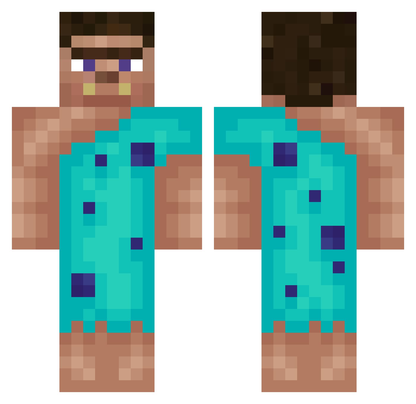 TE_Designs Minecraft skin, front and back view