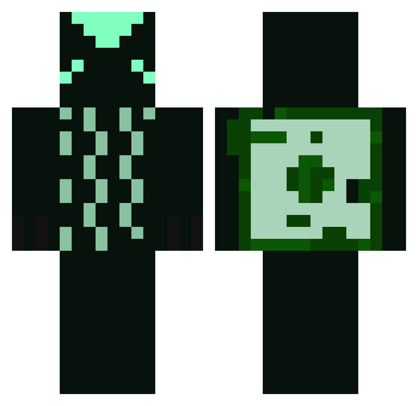 Ladas01 Minecraft skin, front and back view