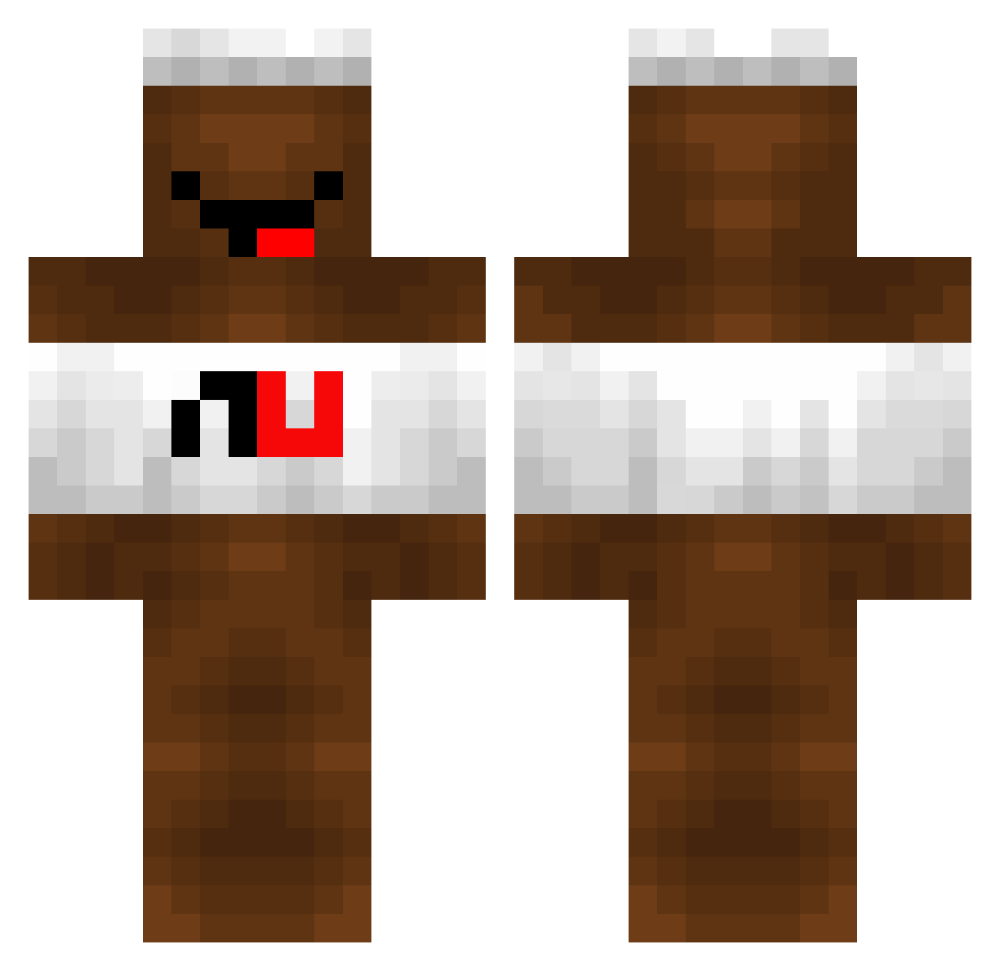 FlorianF3110 Minecraft skin, front and back view