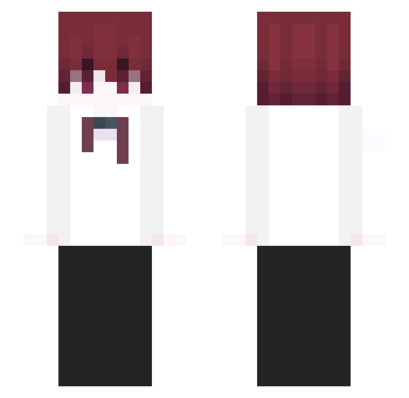 Sebaapr Minecraft skin, front and back view