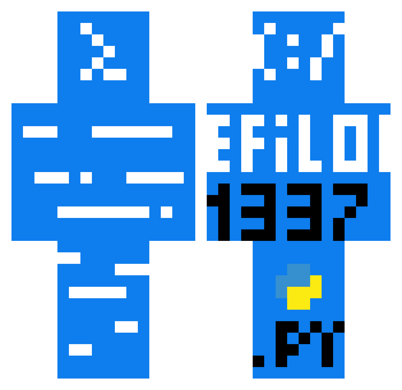 1337discord Minecraft skin, front and back view