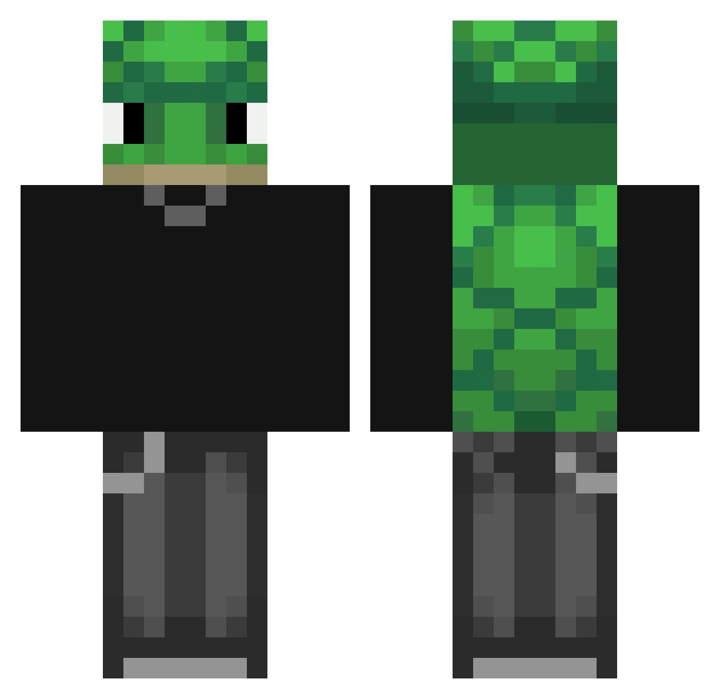 AutisicTurtle Minecraft skin, front and back view