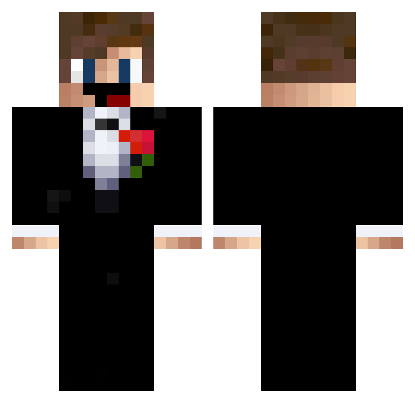 shinesalt2 Minecraft skin, front and back view