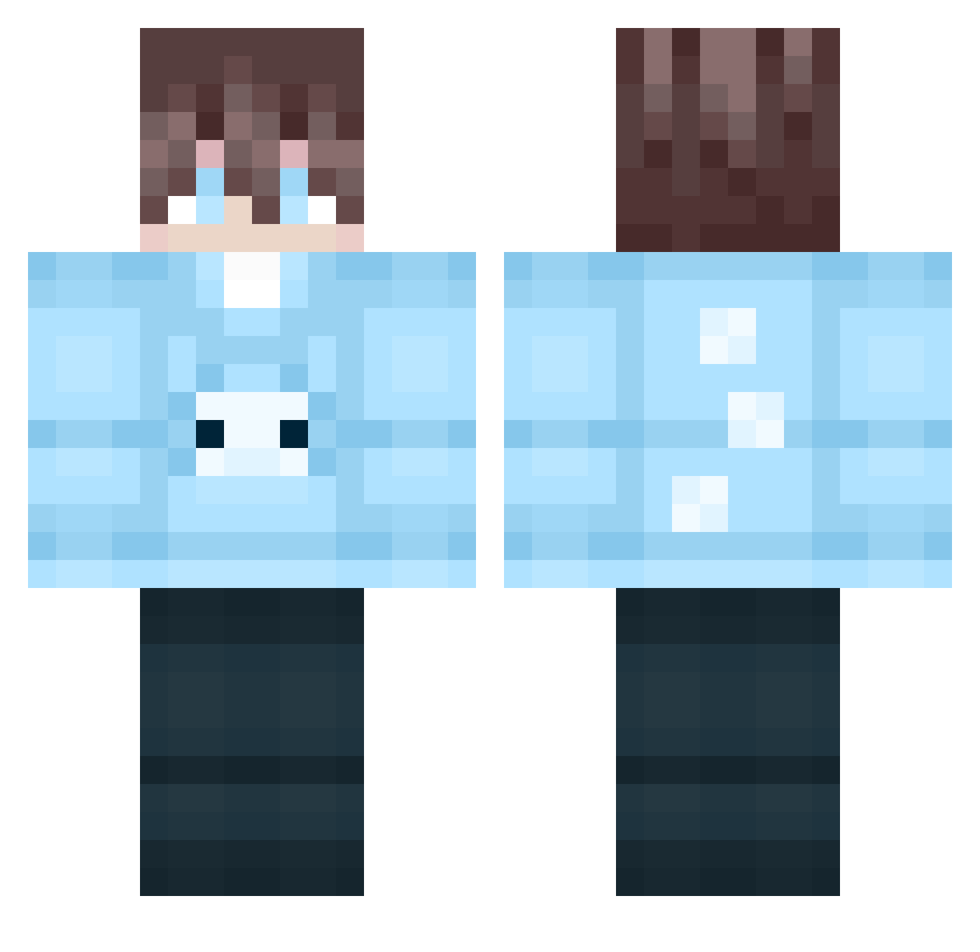 Voidd_z Minecraft skin, front and back view