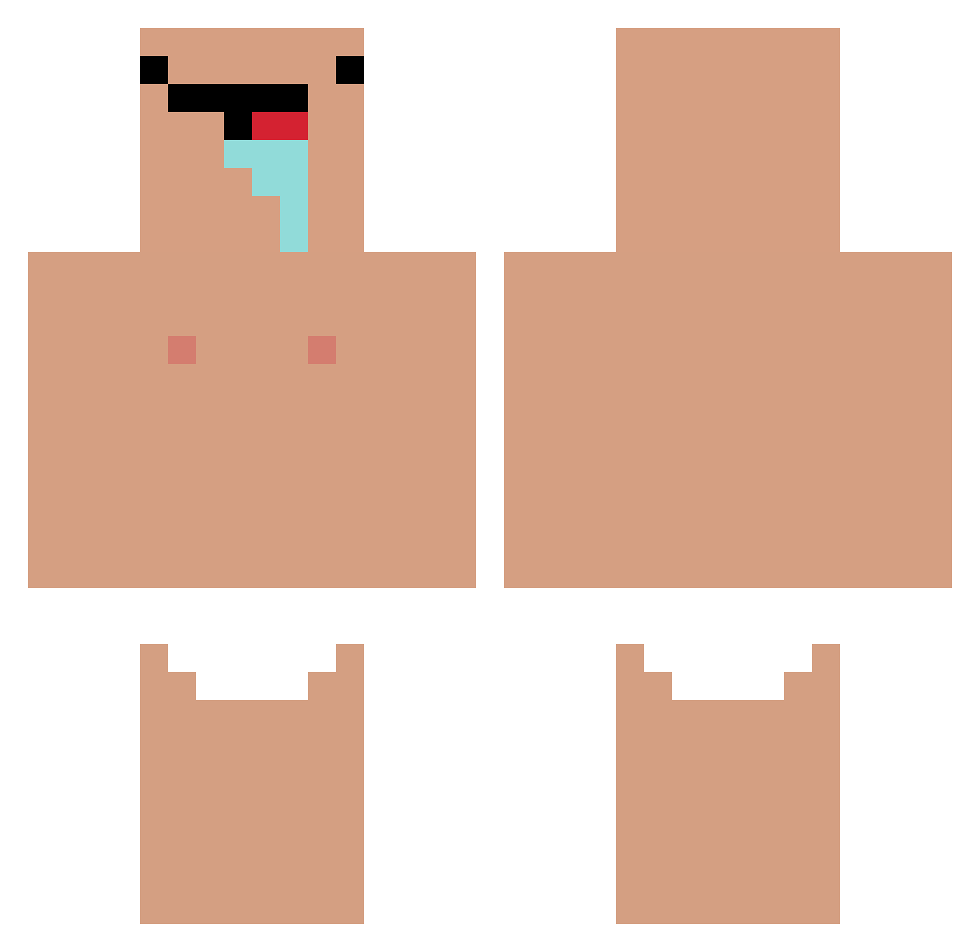 Segmentary Minecraft skin, front and back view