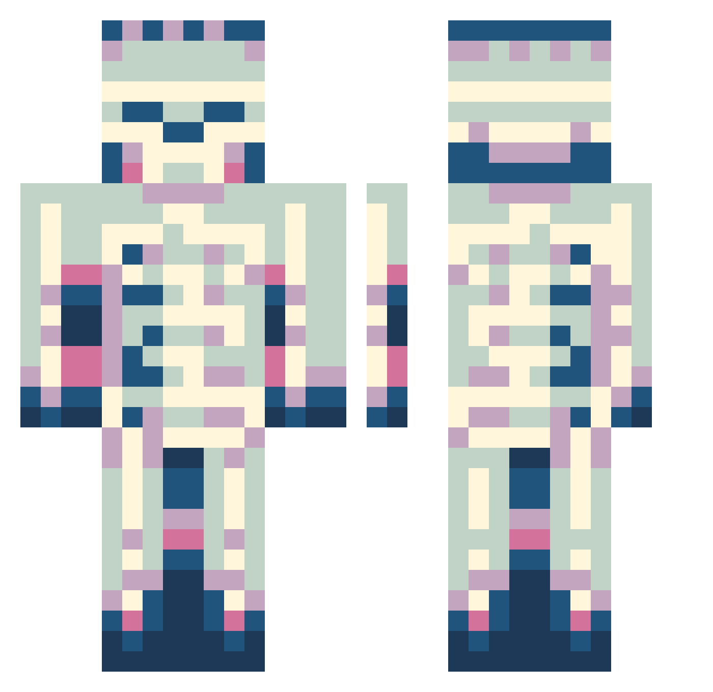 Taax23 Minecraft skin, front and back view