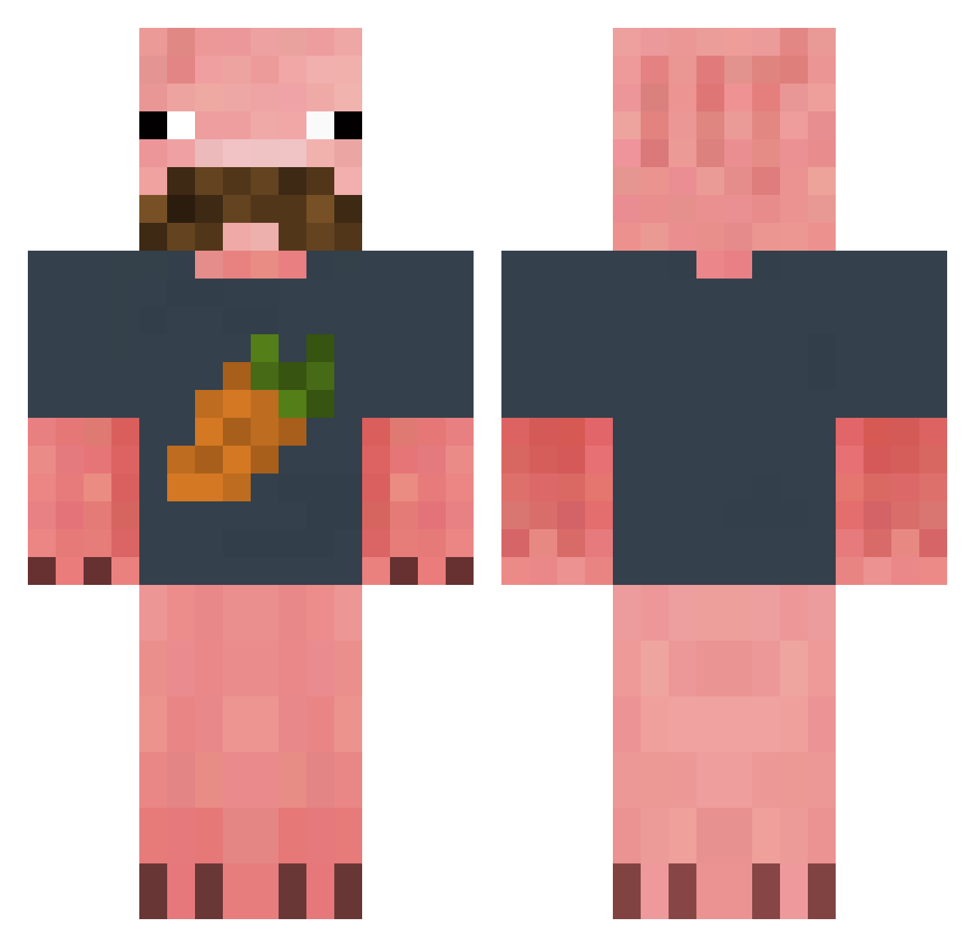 AuSchwarte Minecraft skin, front and back view
