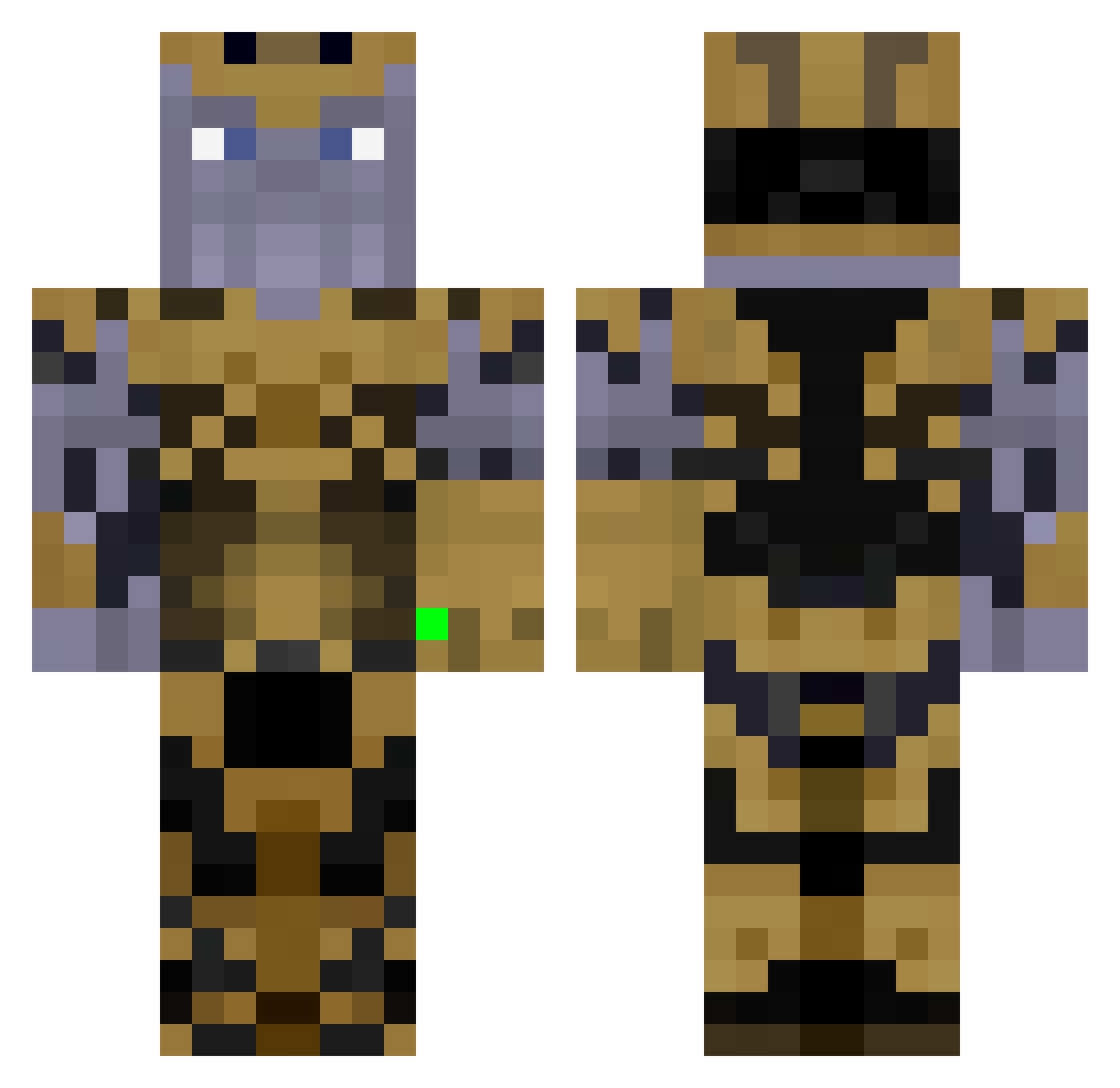 treg11 Minecraft skin, front and back view