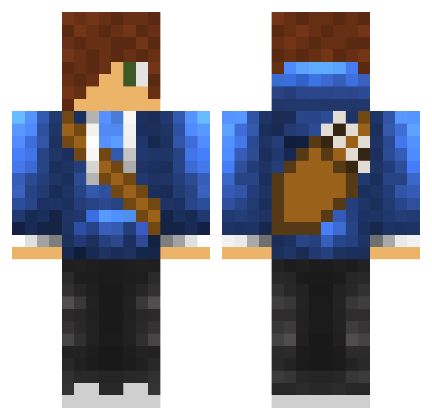 Chameleon Minecraft skin, front and back view