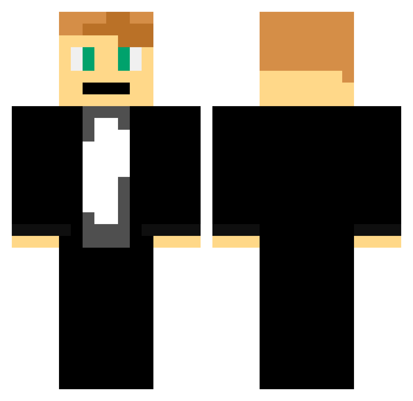 Verminator1213 Minecraft skin, front and back view