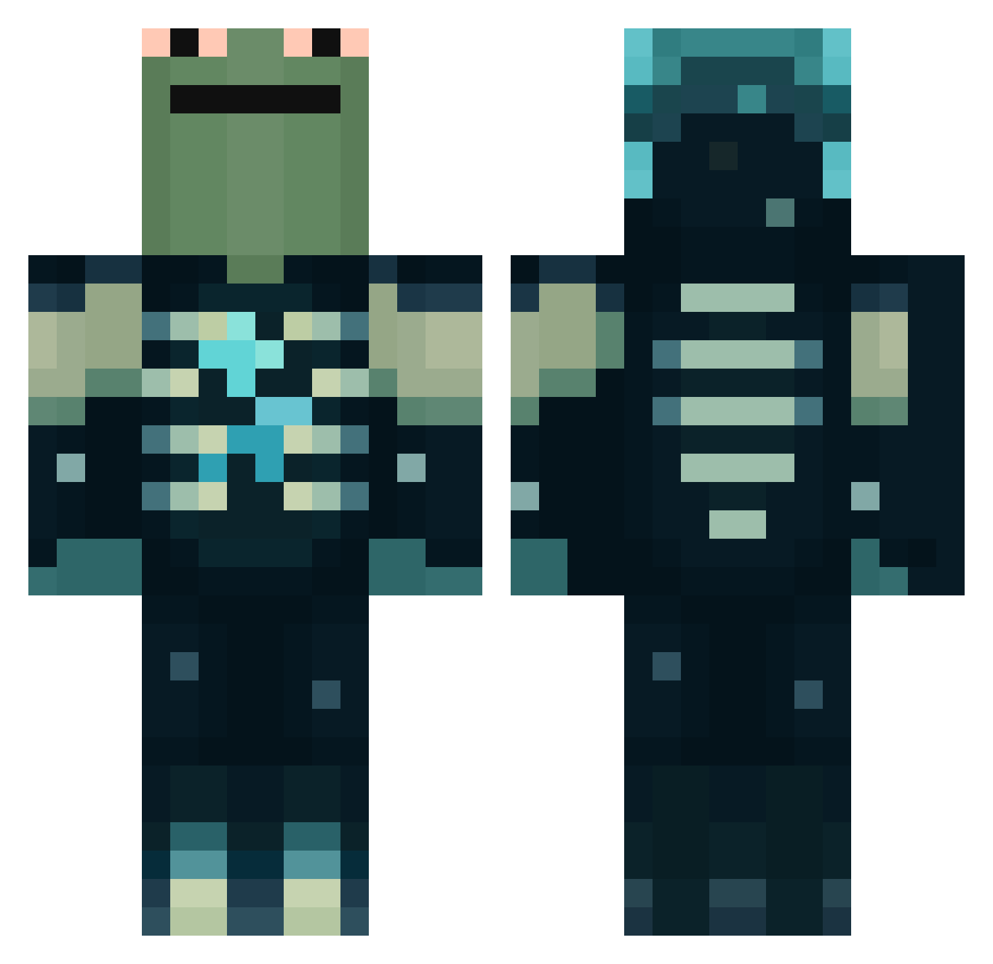 frodoente Minecraft skin, front and back view